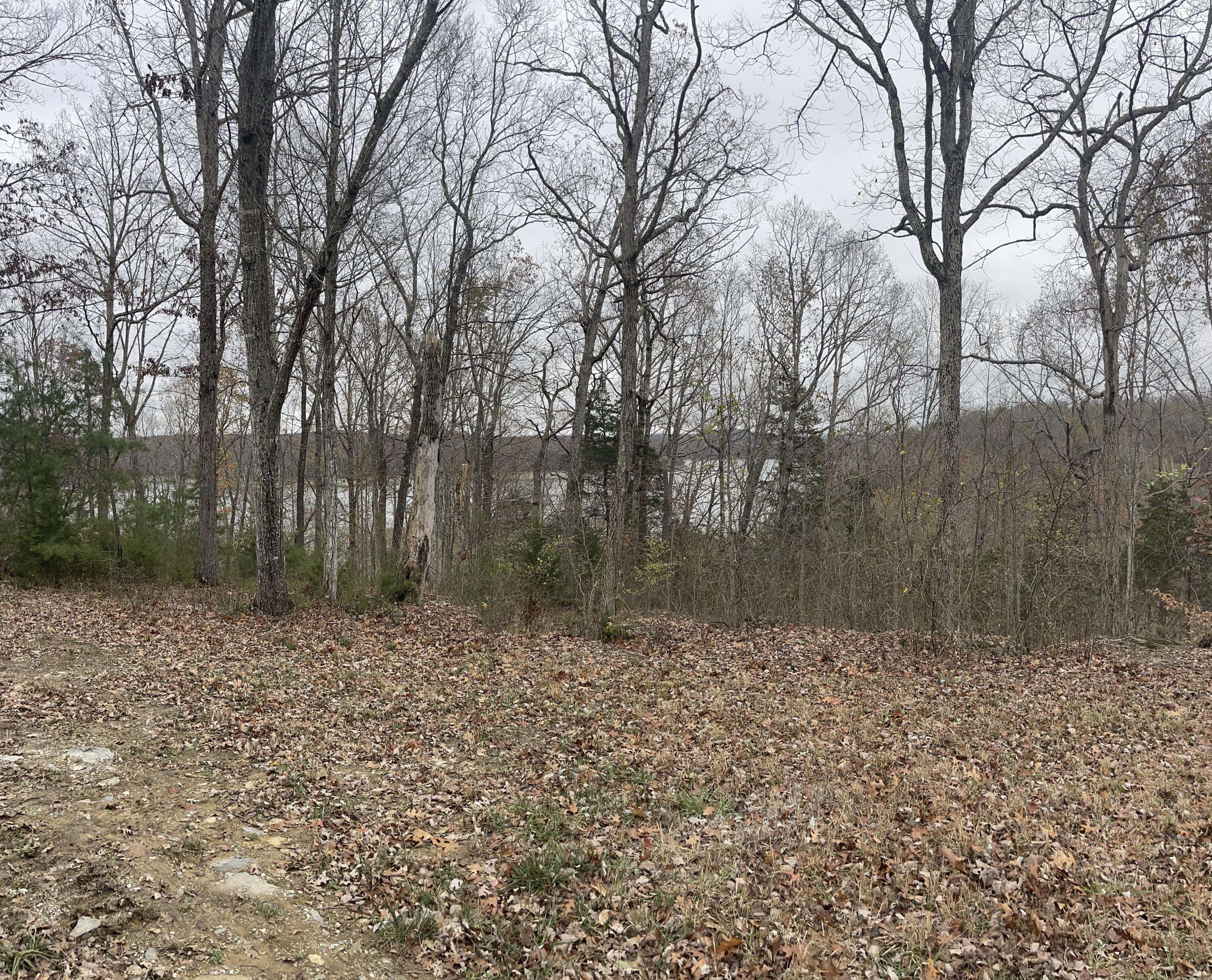 Monticello, KY 42633,Lot 41 Cumberland Shores