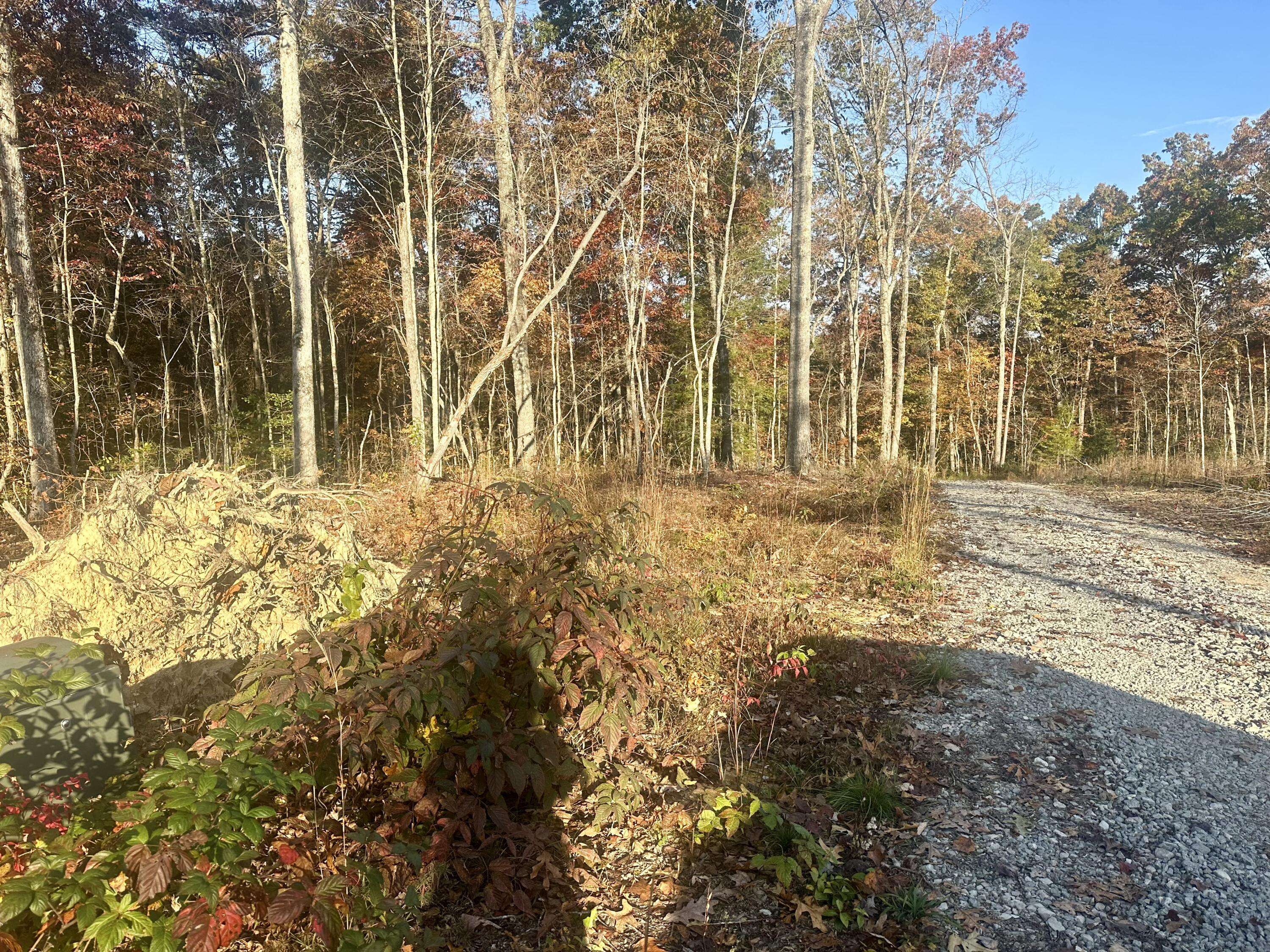 Corbin, KY 40701,Tract 7 Bozeman Road
