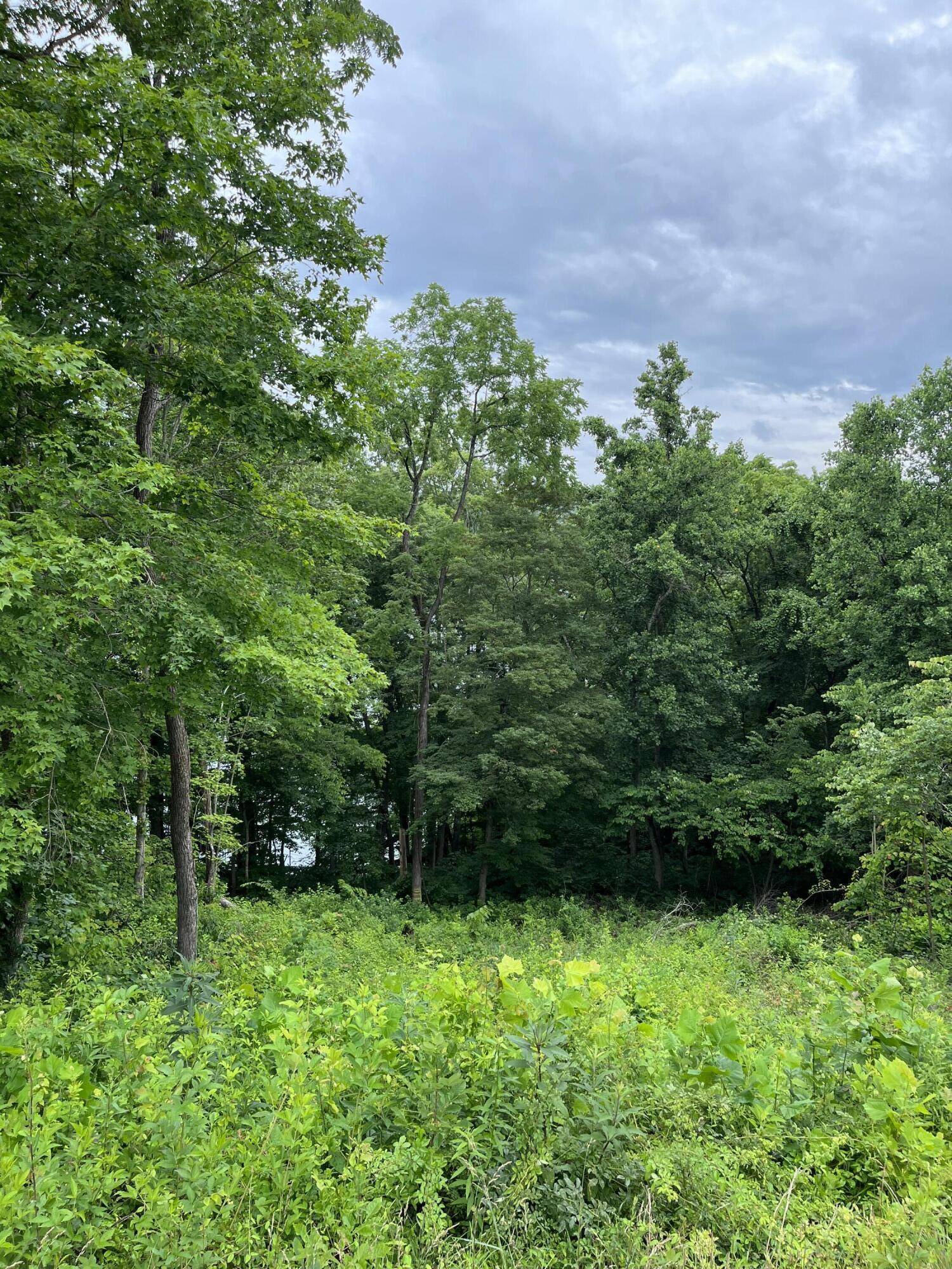 Bronston, KY 42518,Lot 12 Ph1 Colson Cove