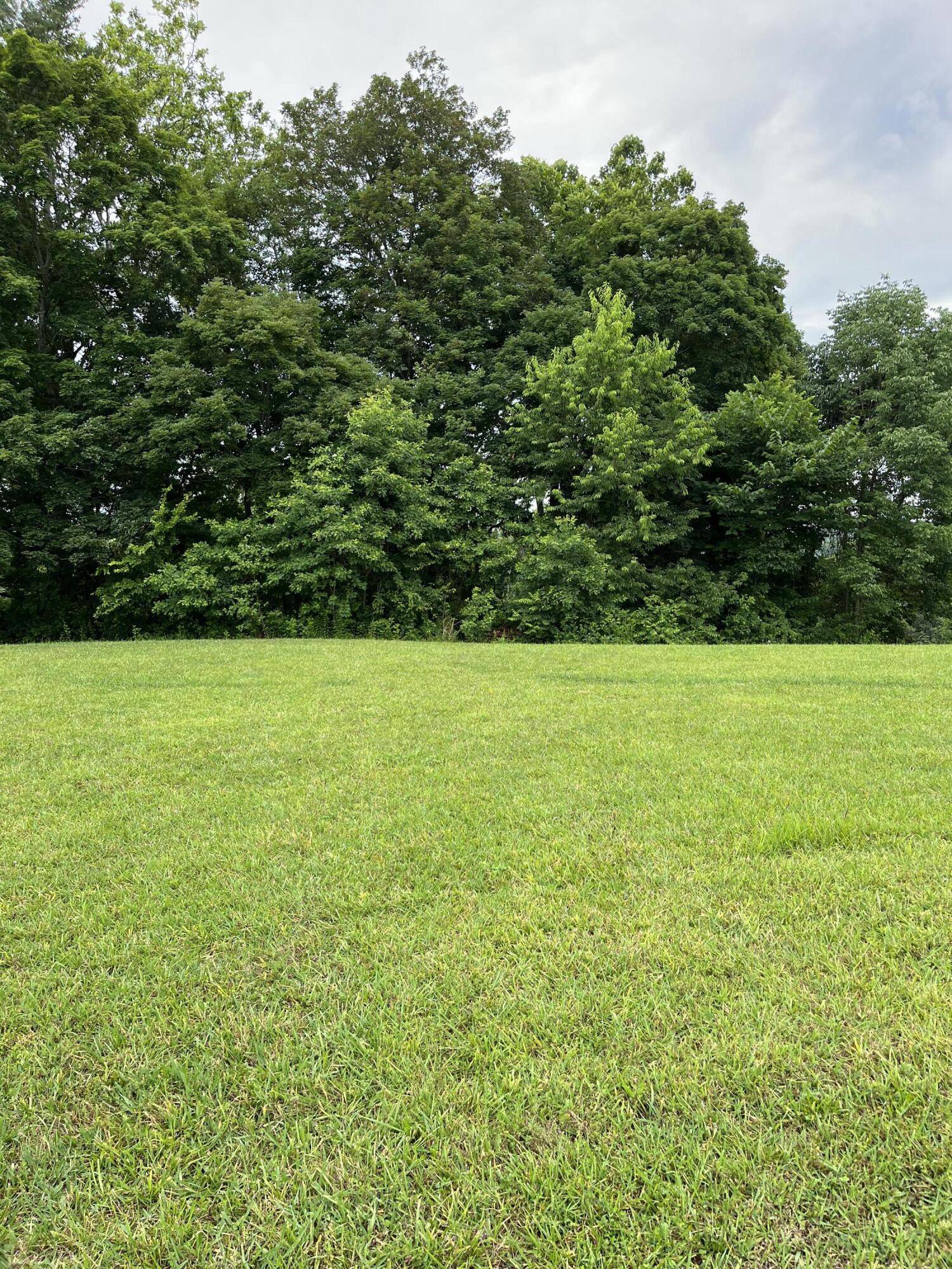 Bronston, KY 42518,Lot 12 Ph1 Colson Cove