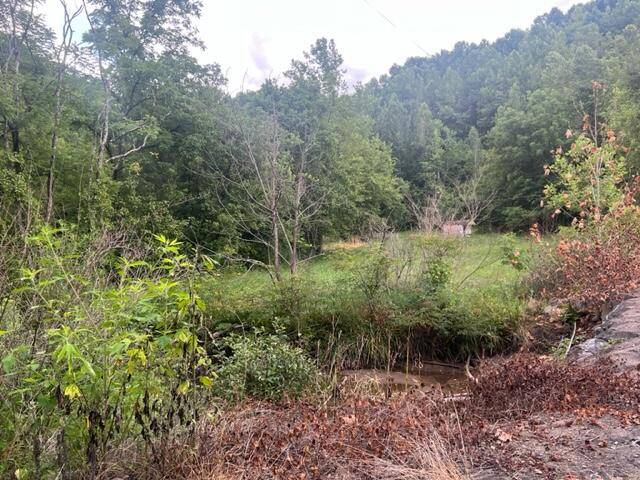 Inez, KY 41224,00 Sawmill Road