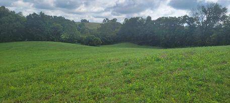 Mt Sterling, KY 40353,2901 Cecil Road