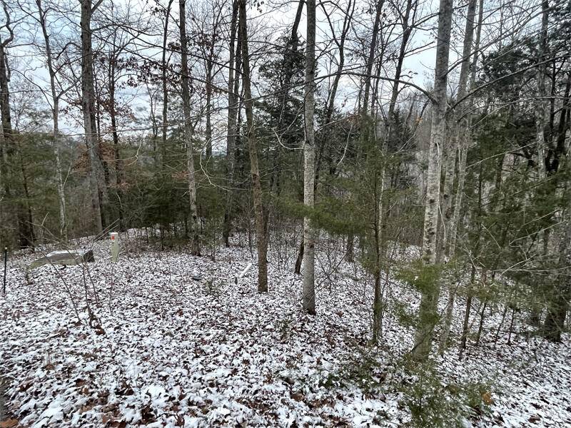 Monticello, KY 42633,Lot 74 Sandstone Point