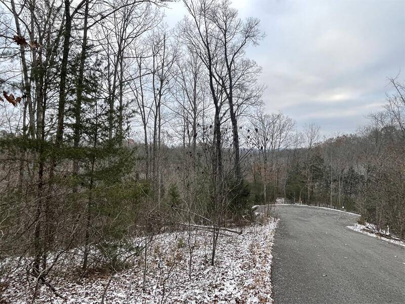 Monticello, KY 42633,Lot 74 Sandstone Point