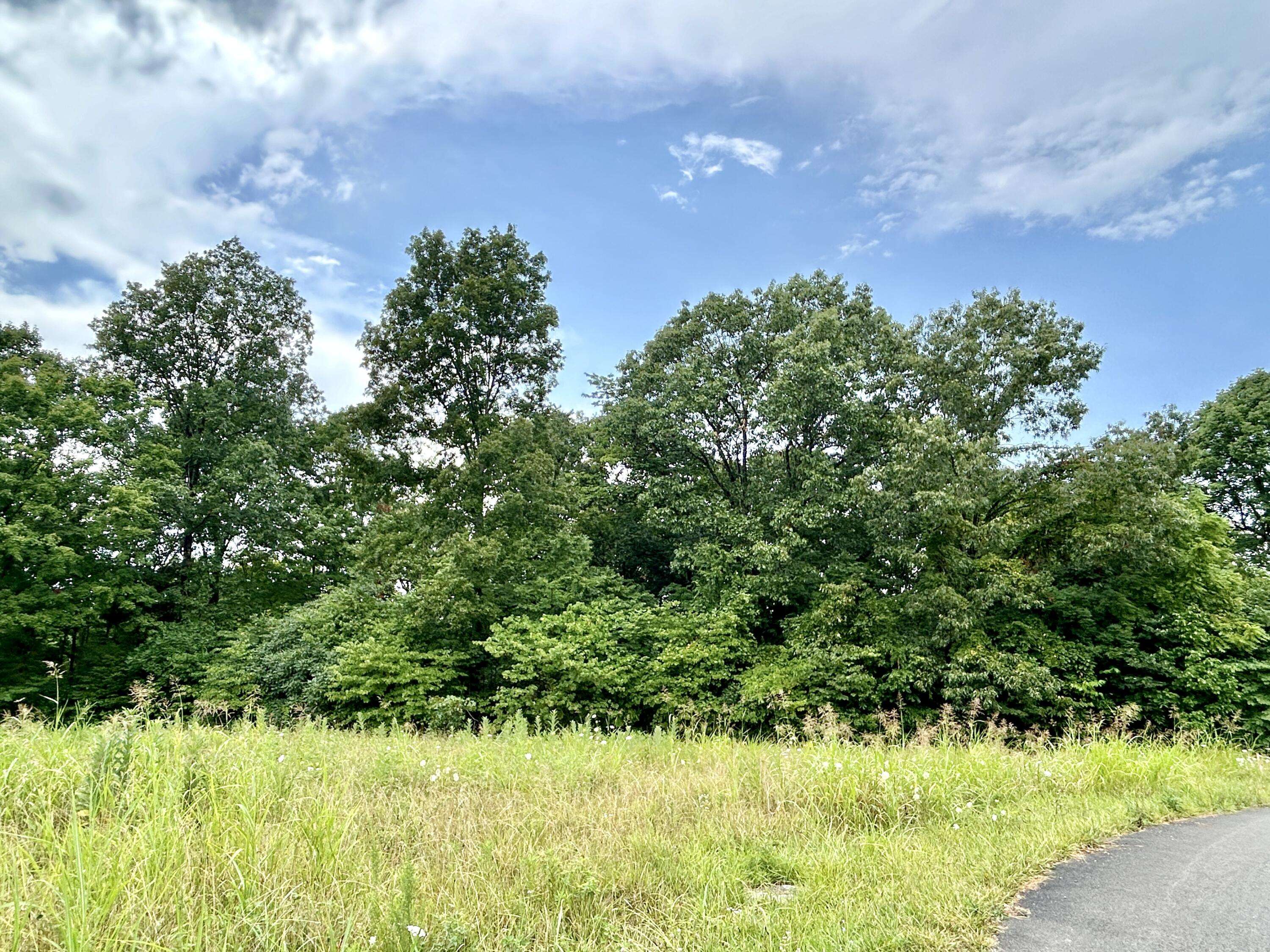 Ferguson, KY 42533,72 Longview Drive