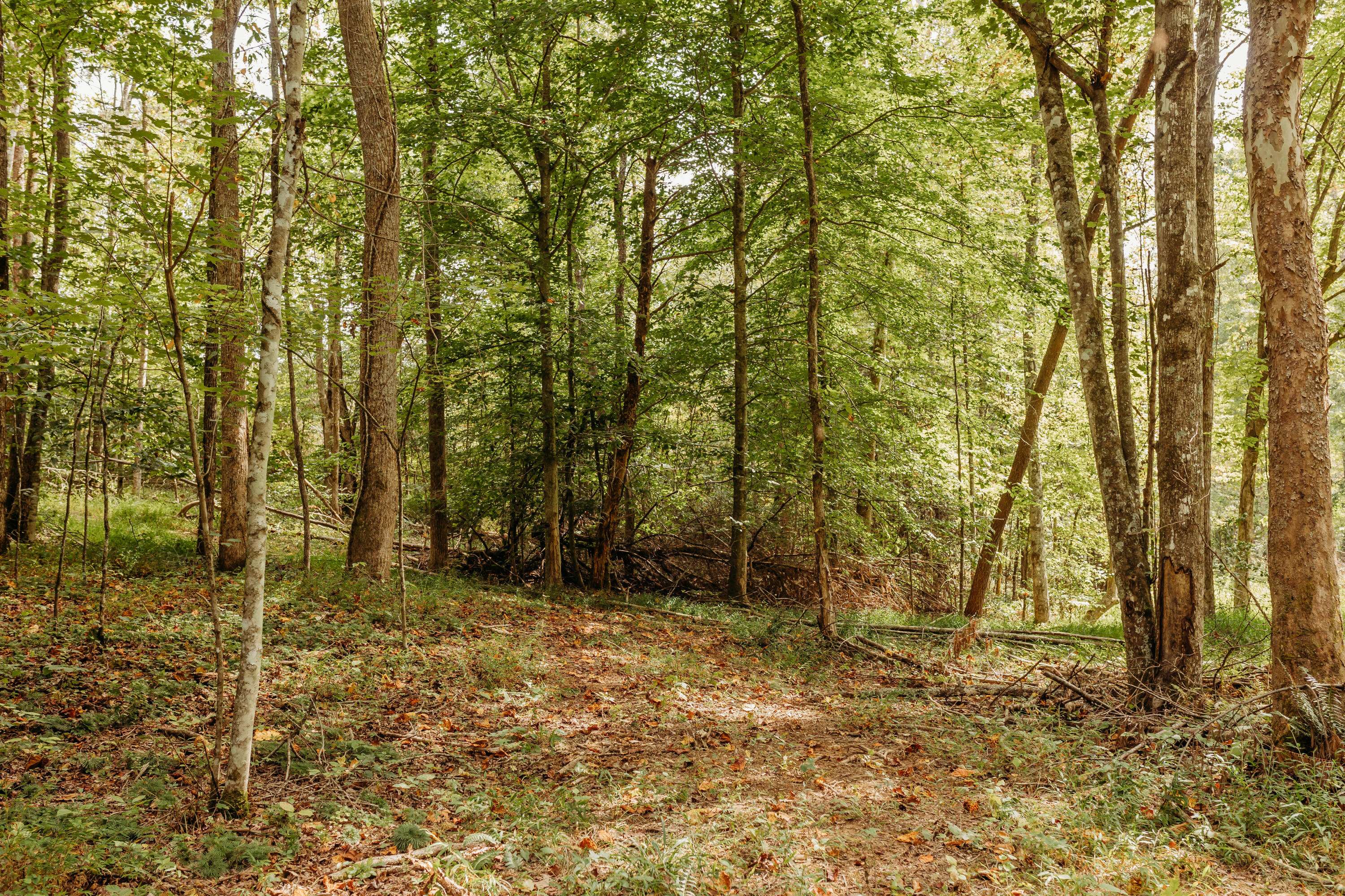 Campton, KY 41301,TBD Lot 20 Sandy Ridge Road