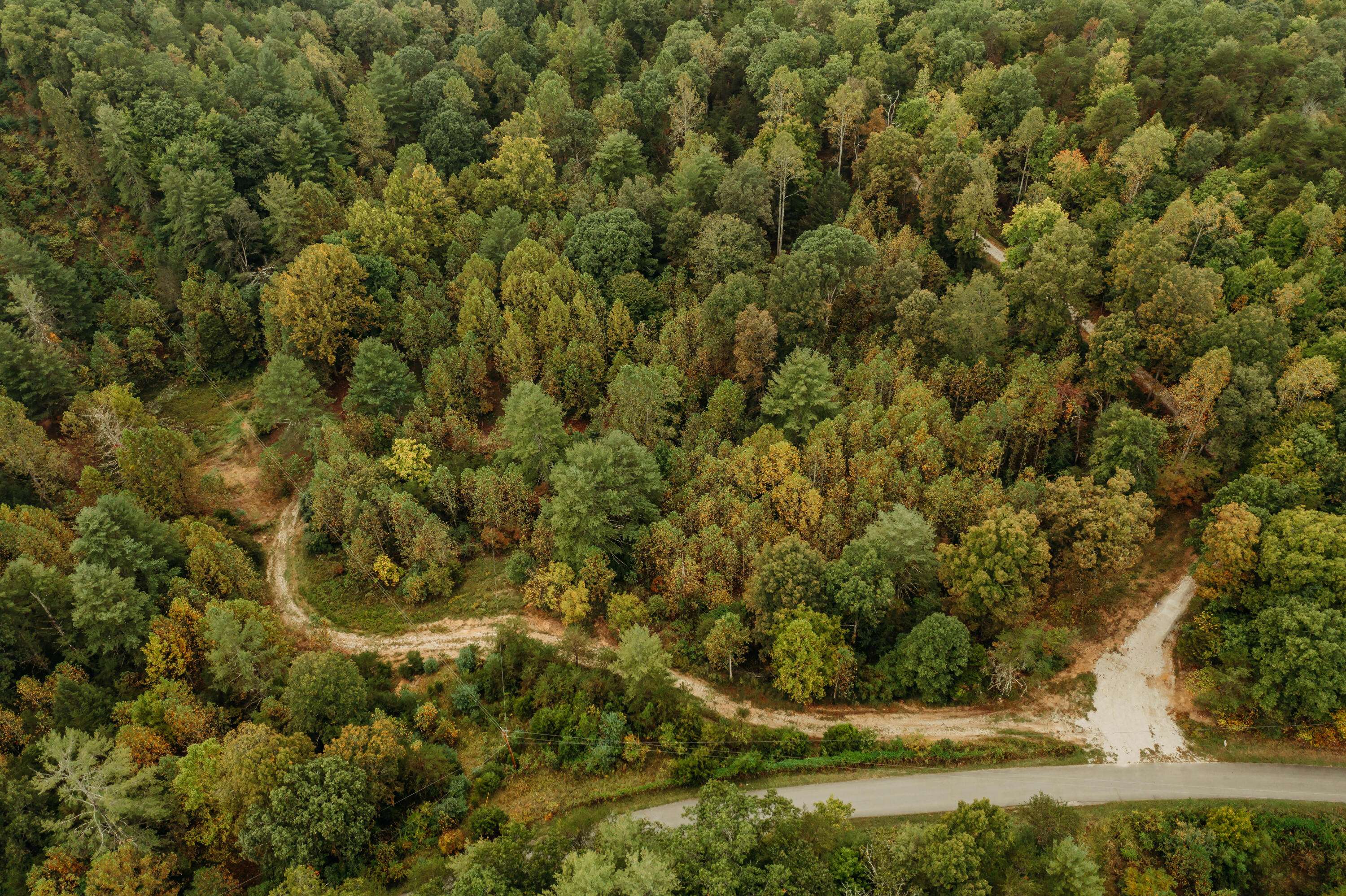 Campton, KY 41301,TBD Lot 24 Sandy Ridge Road