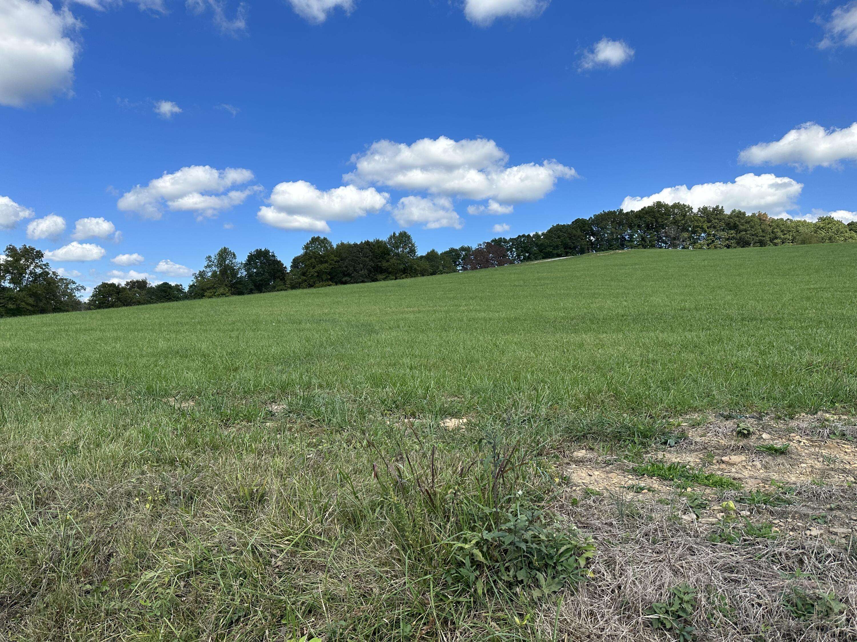 Mckee, KY 40447,lot 3 Baldwin Road