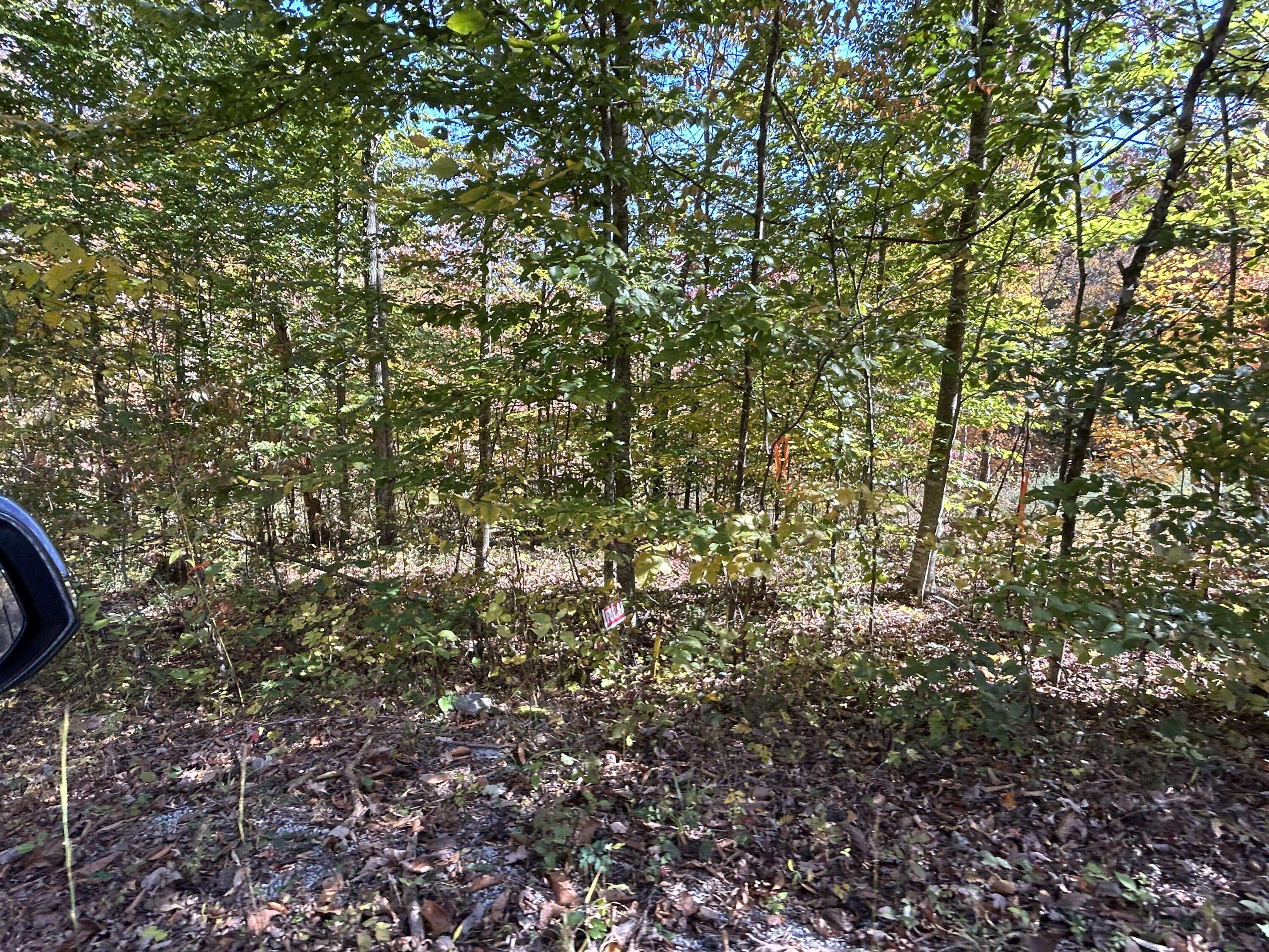 Somerset, KY 42501,Lot # 5 Buck Creek Circle