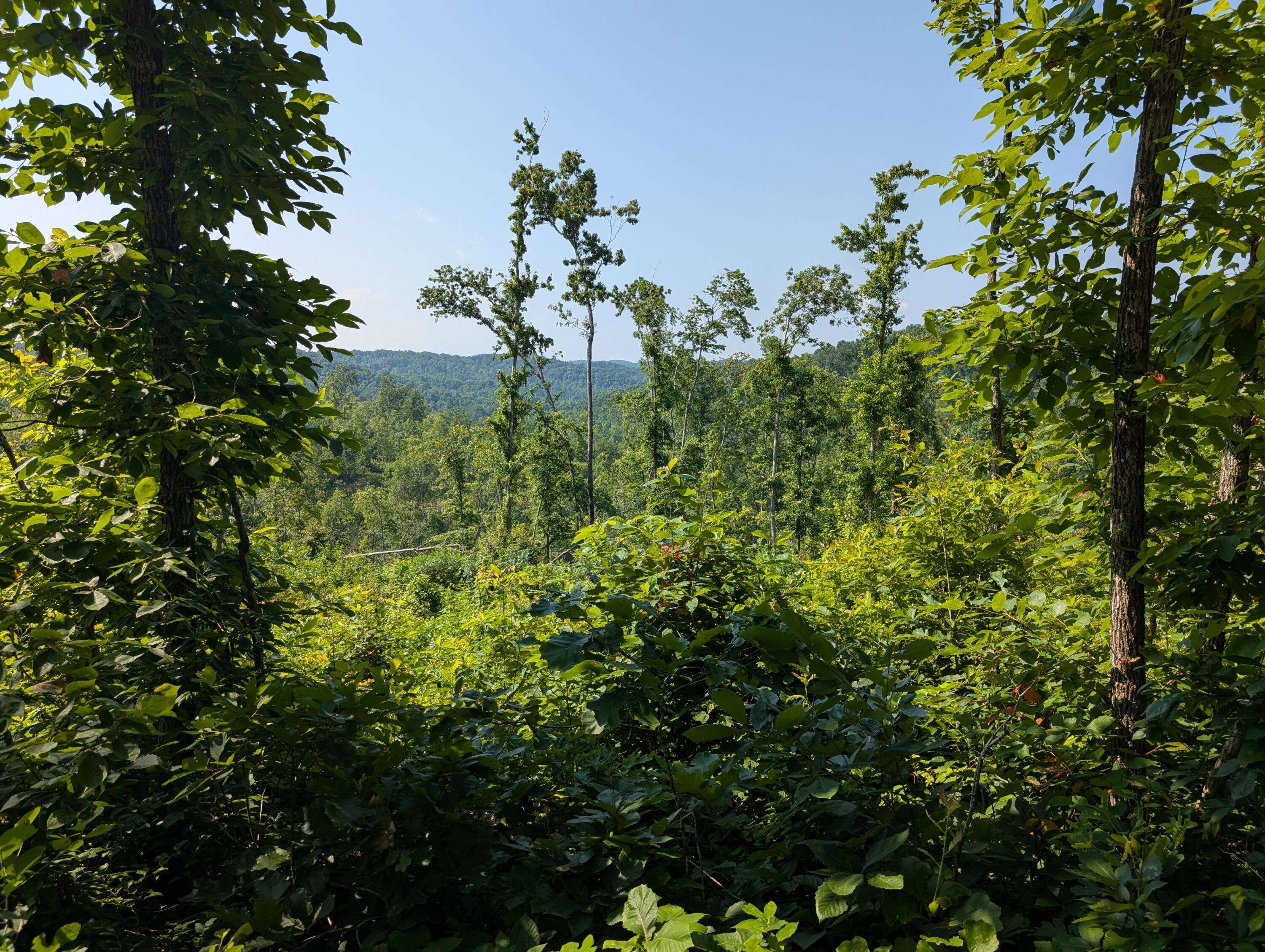 Mt Vernon, KY 40456,0 New Hope Tower Road