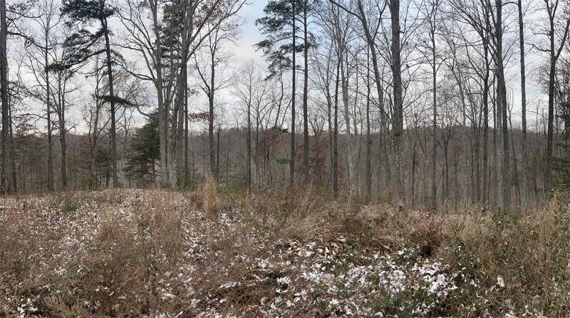 Monticello, KY 42633,Lot 7 Sandstone Point