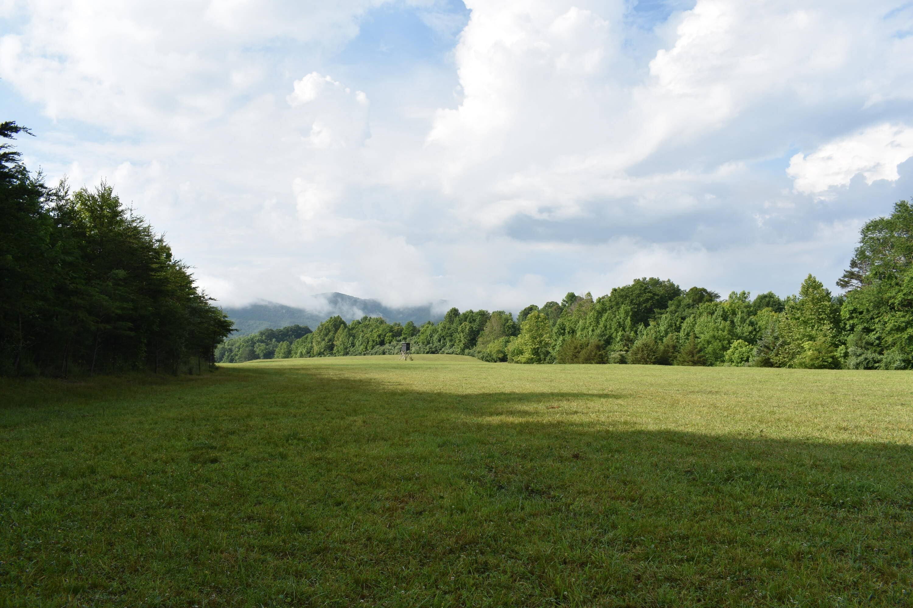 Middlesboro, KY 40965,423 North 10th Street