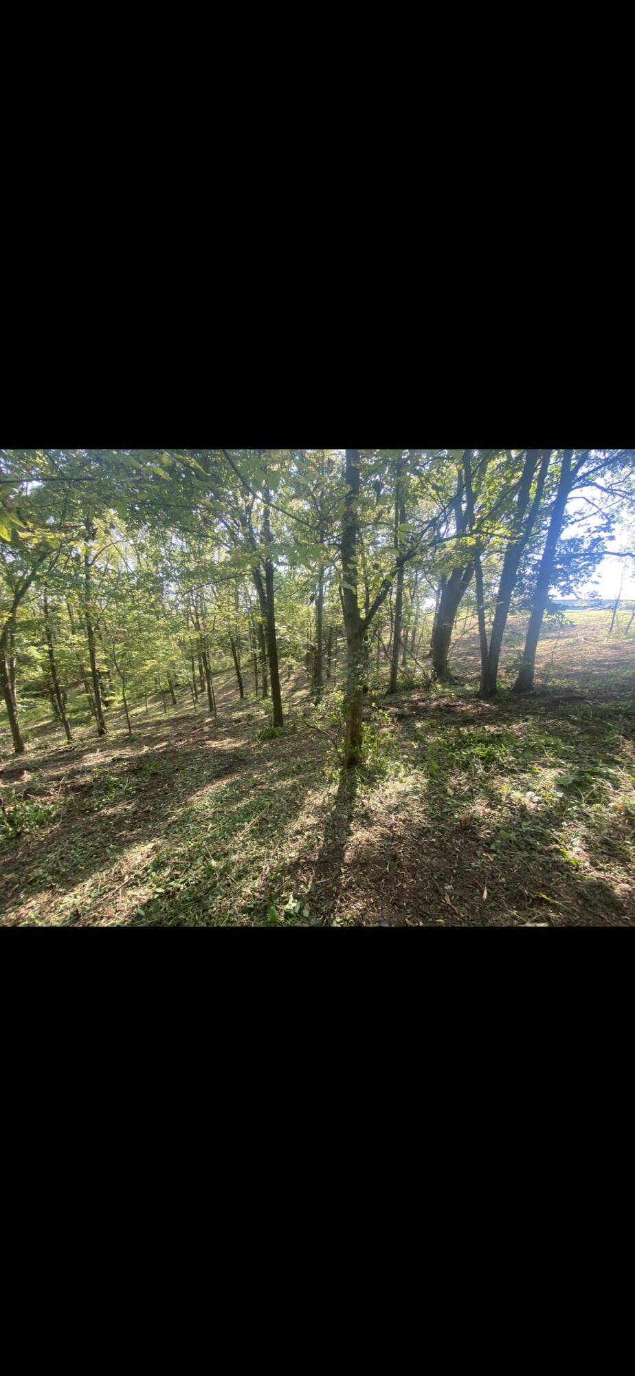 Lancaster, KY 40444,430 Meadow Lake Drive