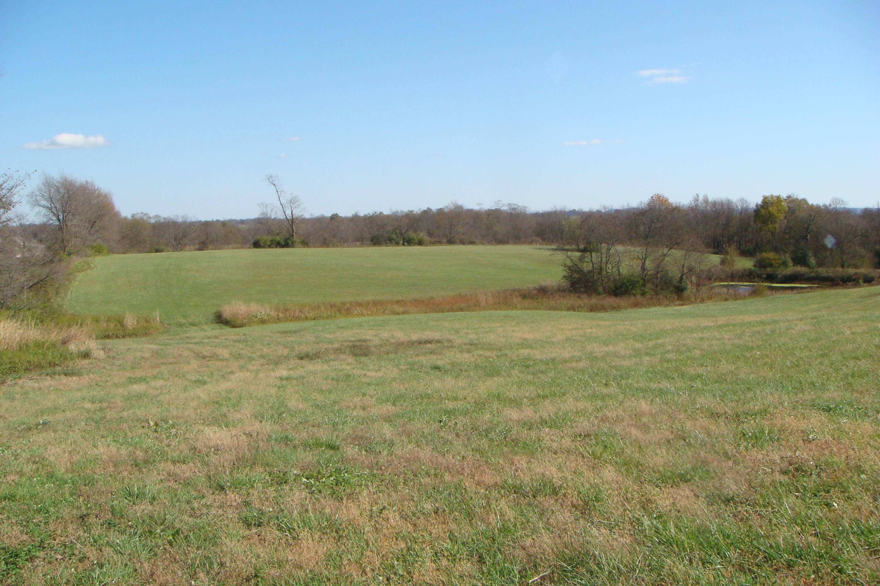 Mt Sterling, KY 40353,3054B Owingsville Road