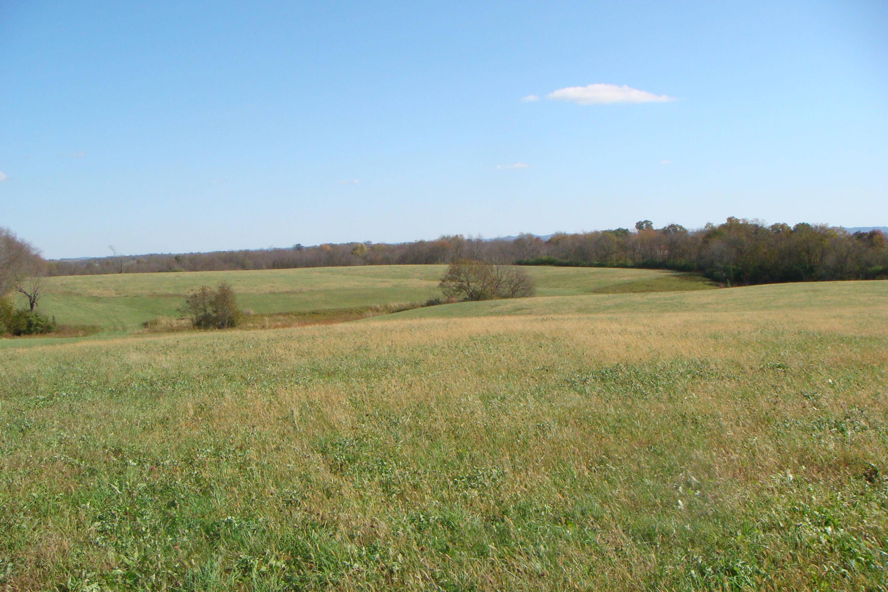 Mt Sterling, KY 40353,3054B Owingsville Road