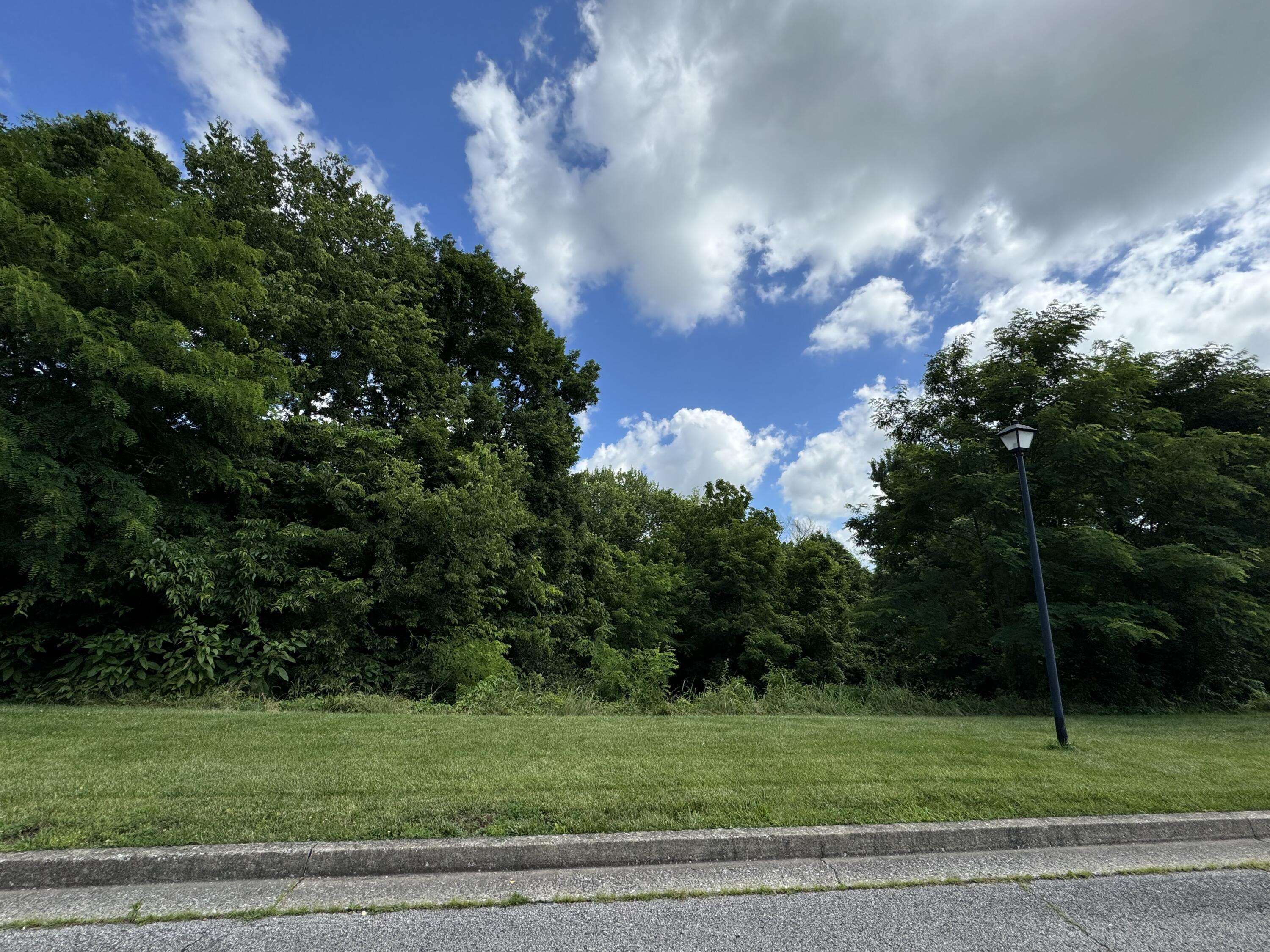 Danville, KY 40422,101 Lot 17, Tract A - Colonial Way