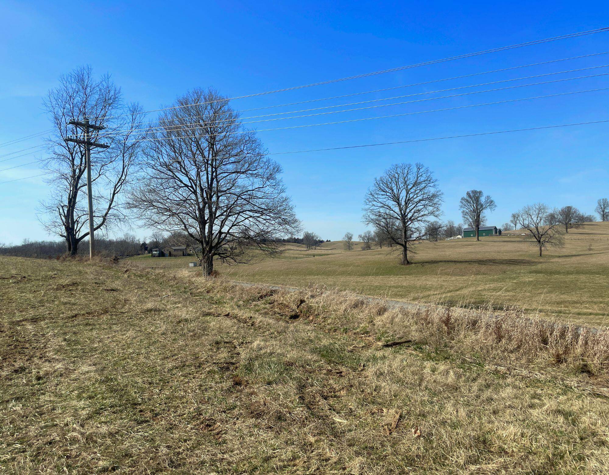 Cynthiana, KY 41031,349 Finnell Pike