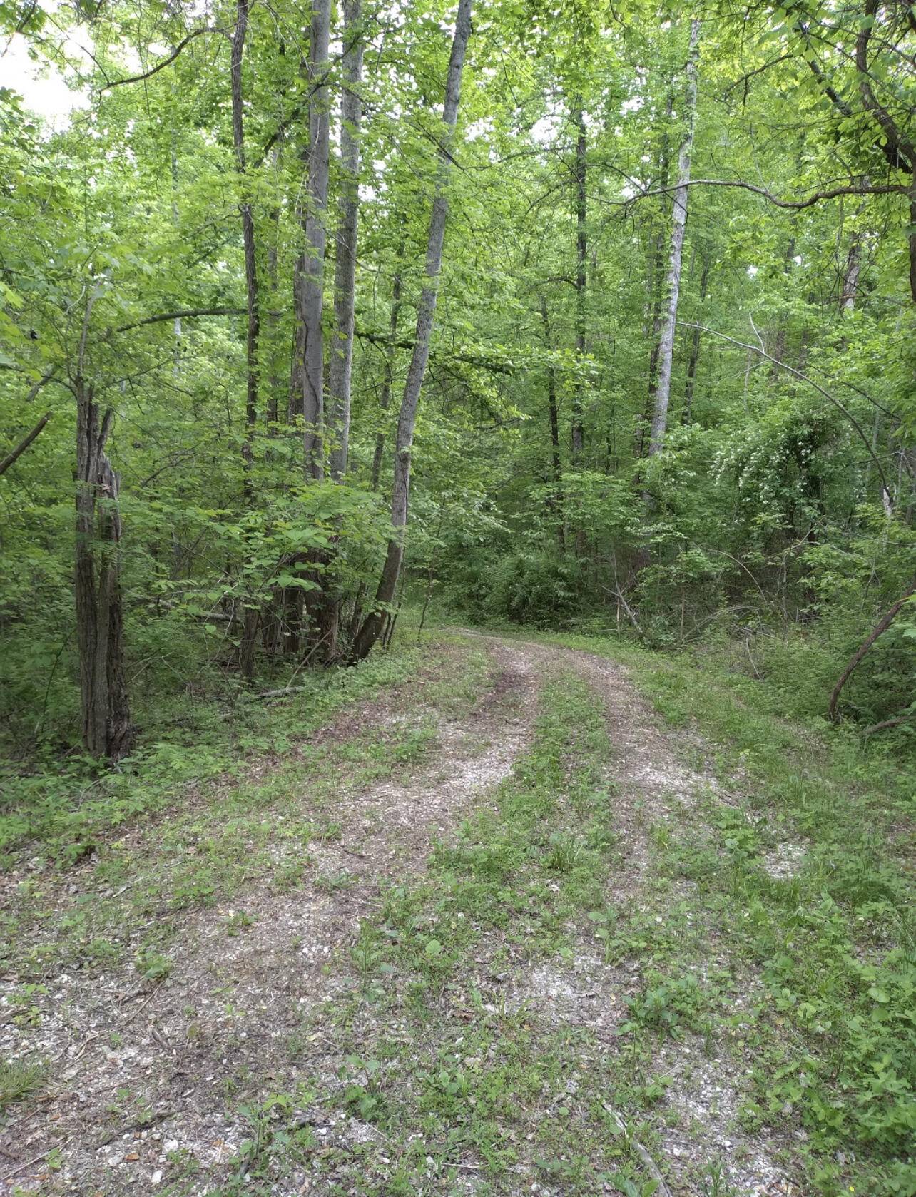 Stanton, KY 40380,1737B High Rock Road