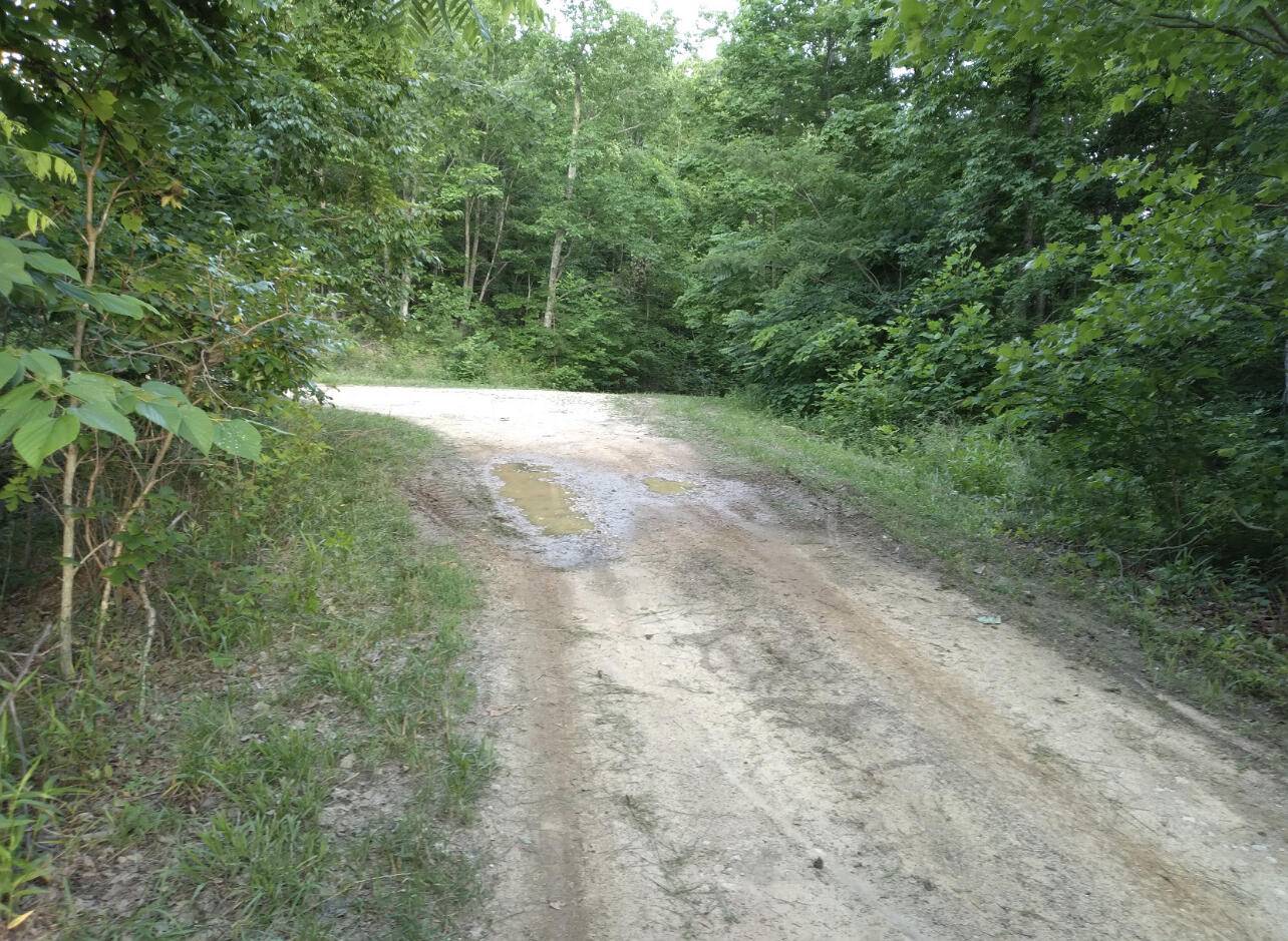 Stanton, KY 40380,1237I High Rock Road