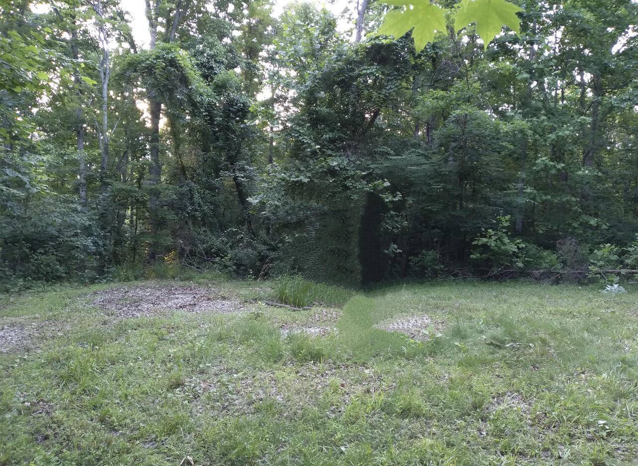 Stanton, KY 40380,1237G High Rock Road