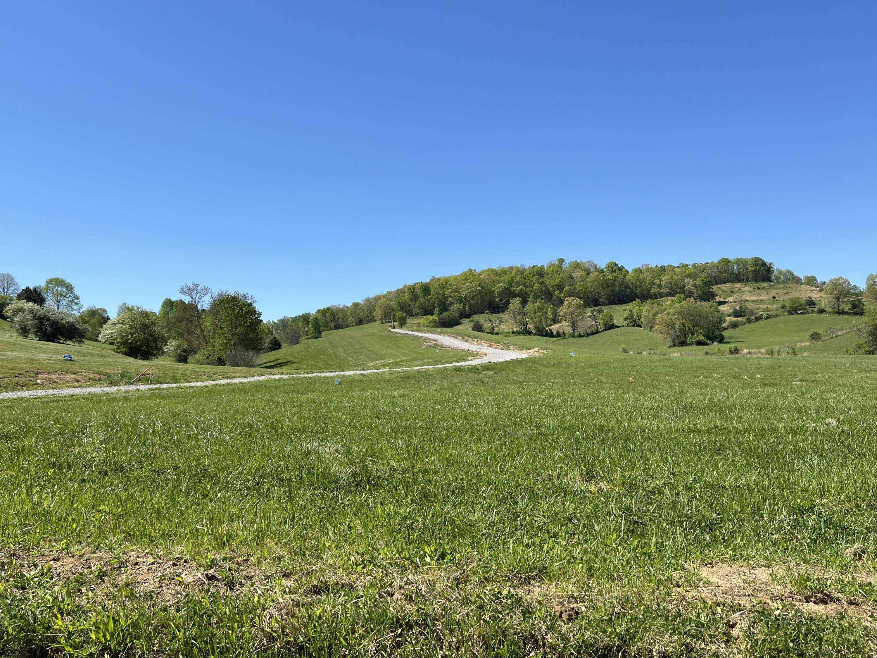 Williamsburg, KY 40769,9999 Shiner Hill Phase II