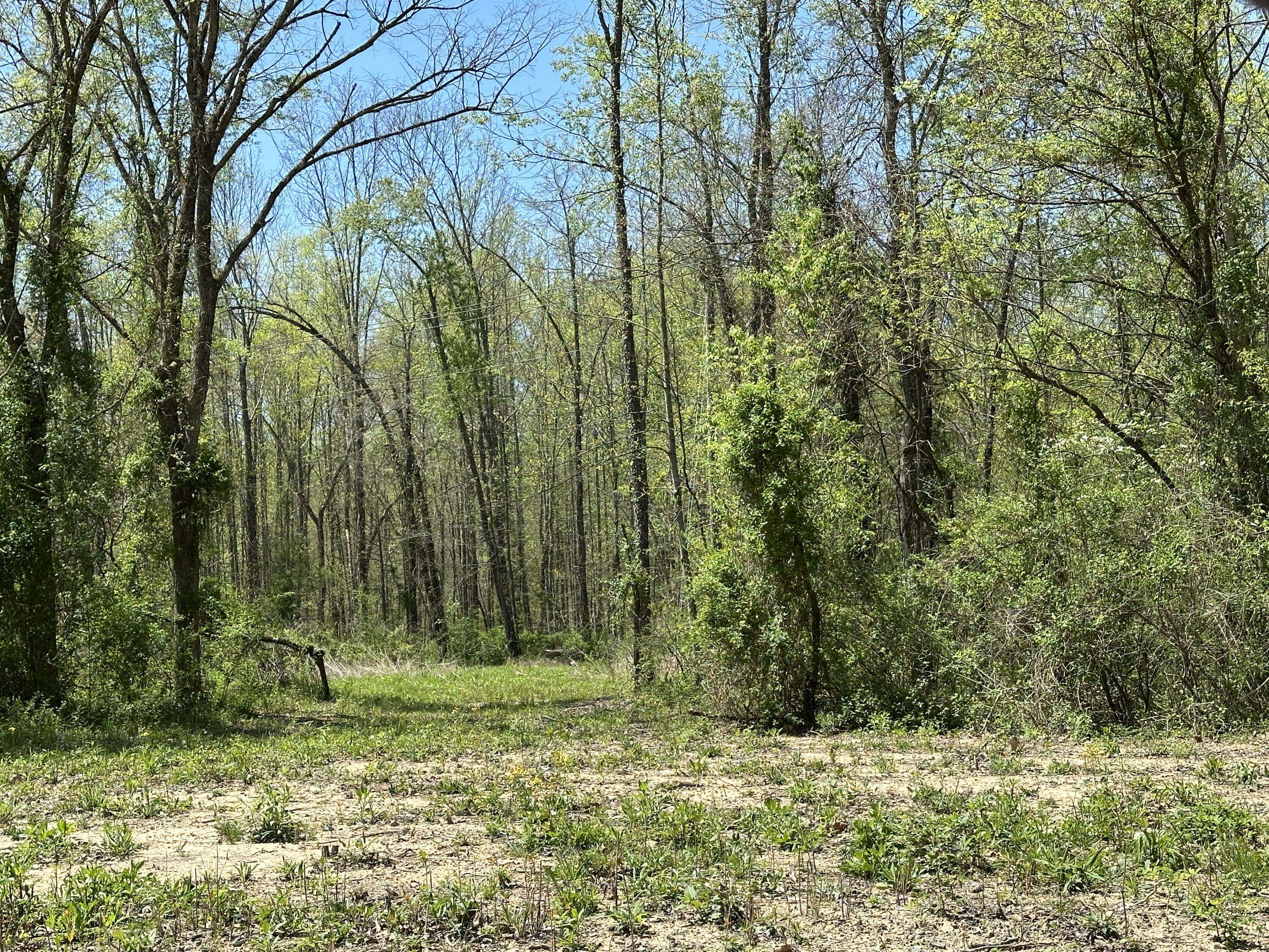 Hitchins, KY 41146,1A Clay Camp Road