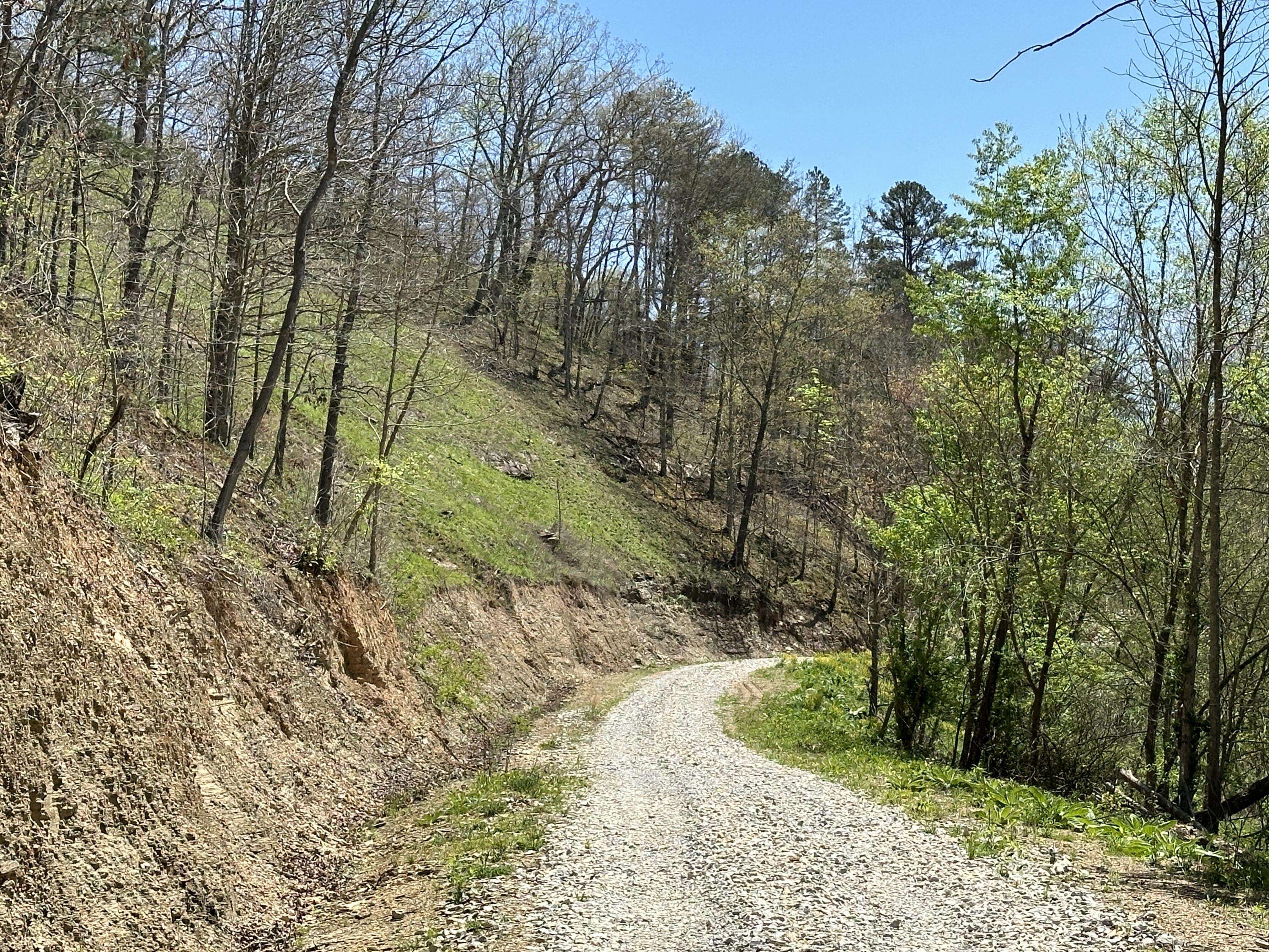 Hitchins, KY 41146,1A Clay Camp Road