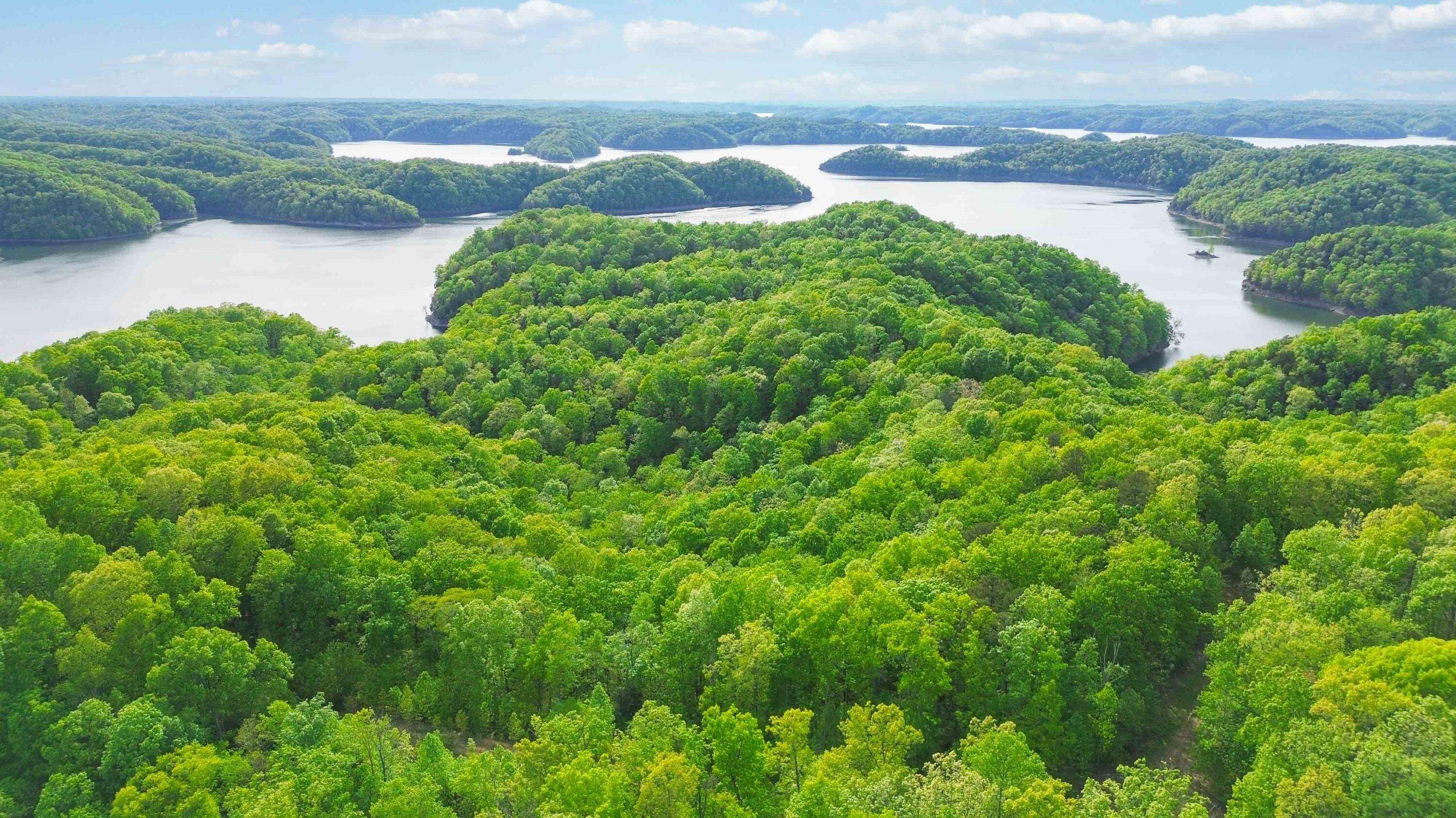 Monticello, KY 42633,Lot 133 Sandstone Trail