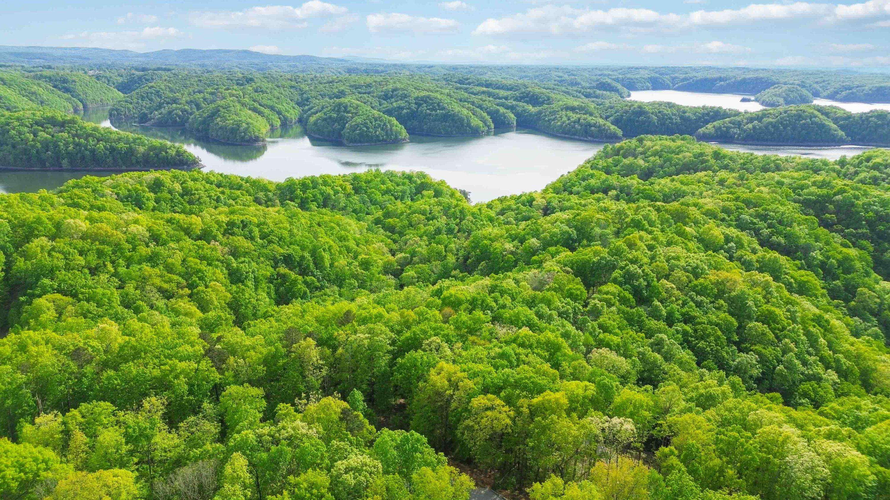 Monticello, KY 42633,Lot 133 Sandstone Trail