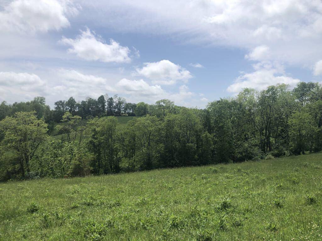 Carlisle, KY 40311,1272-A Moorefield Road