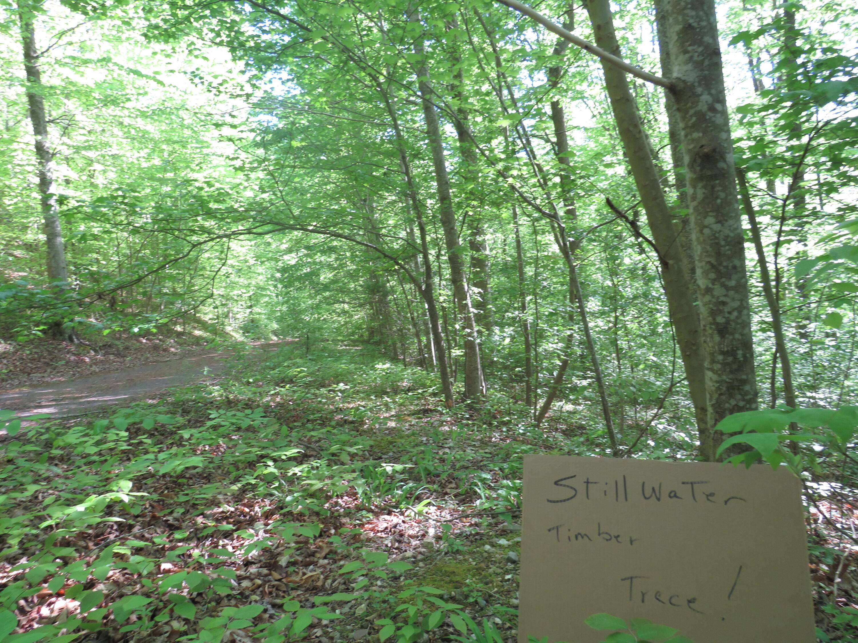 Russell Springs, KY 42642,9999 Lots 225,227,228231 Stillwater