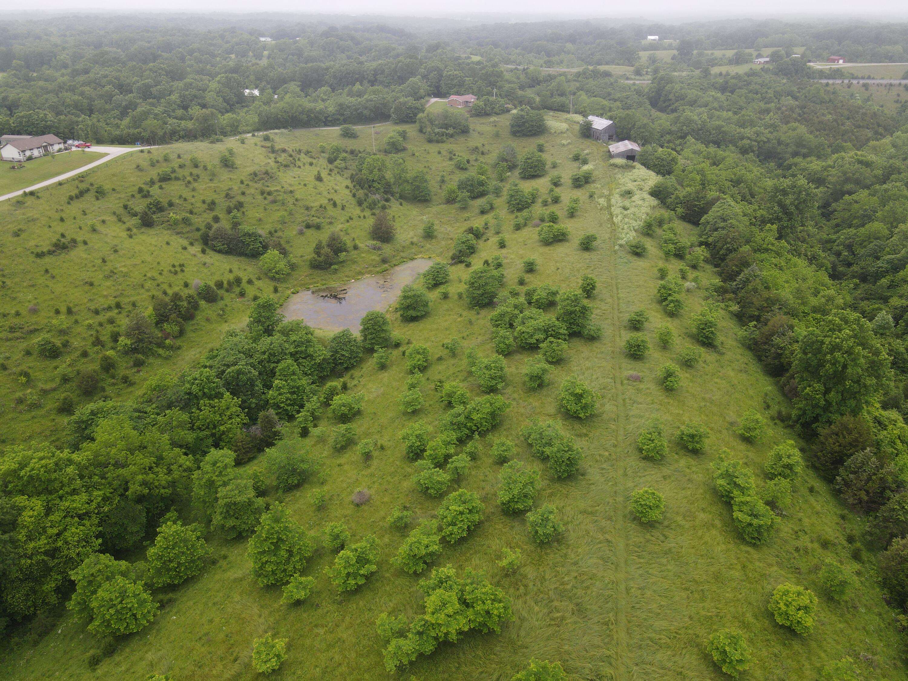 Lawrenceburg, KY 40342,96 Ac Long Road