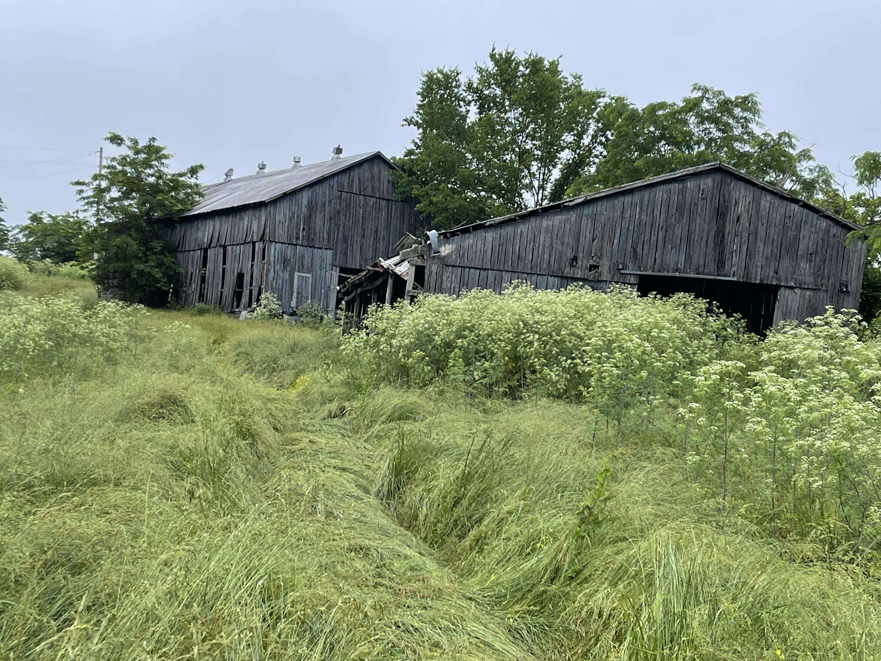 Lawrenceburg, KY 40342,96 Ac Long Road