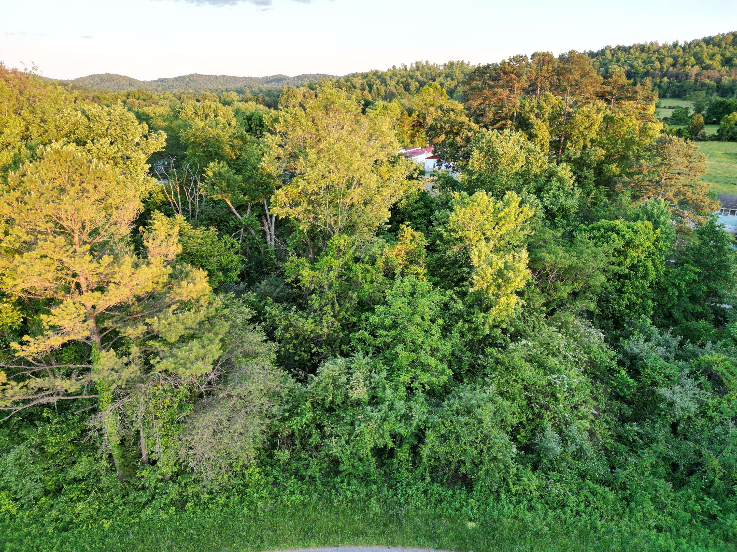 Burnside, KY 42519,Lot 860 Stone Gate Drive