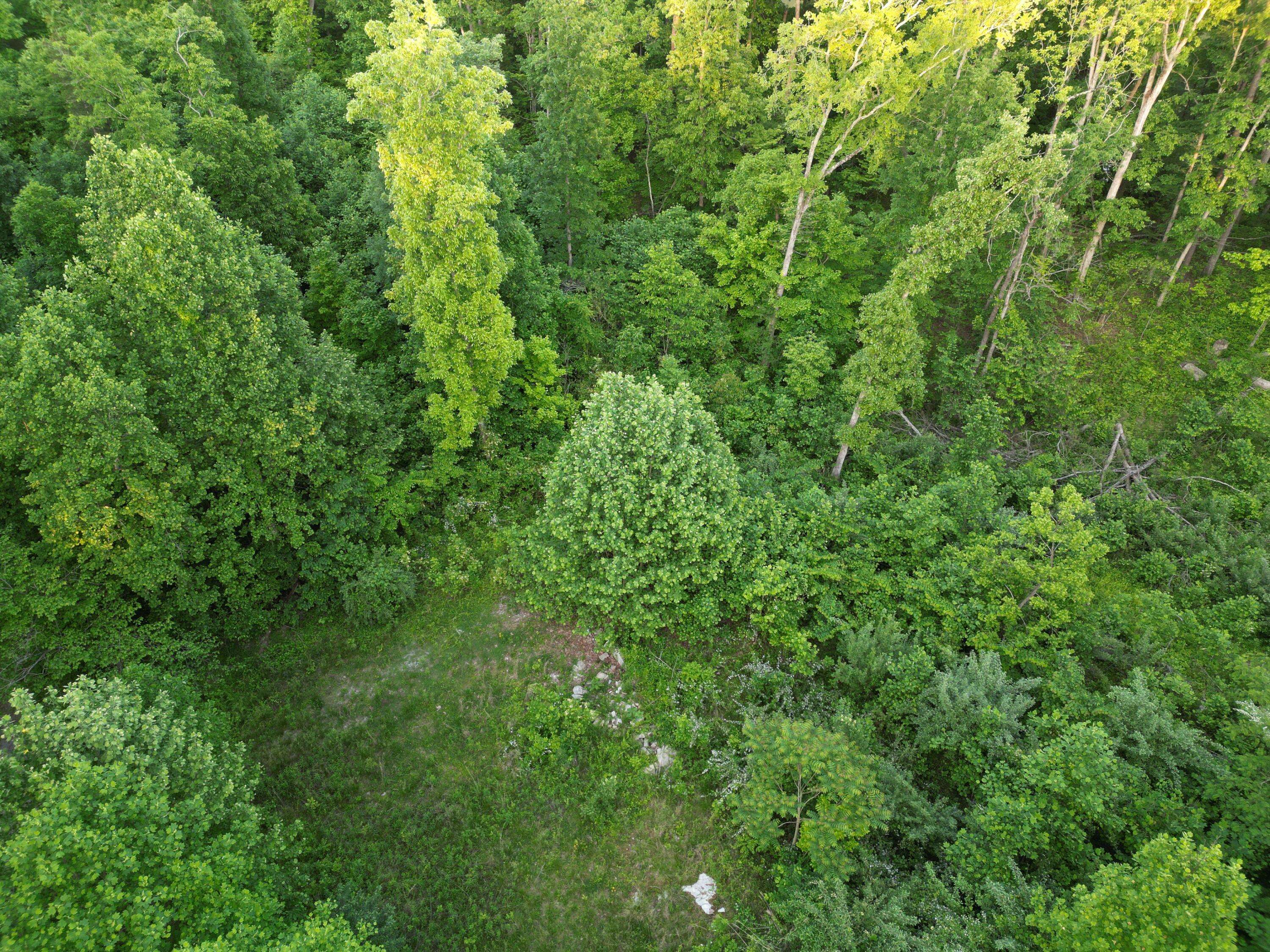 Burnside, KY 42519,Lot 128 UN 1 Lakeview Drive