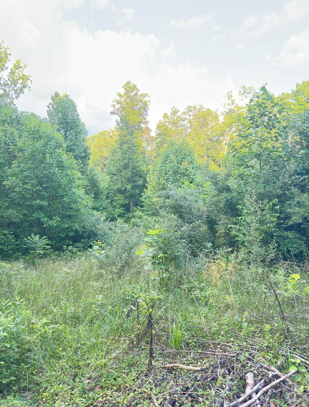 Burnside, KY 42519,Lot 128 UN 1 Lakeview Drive