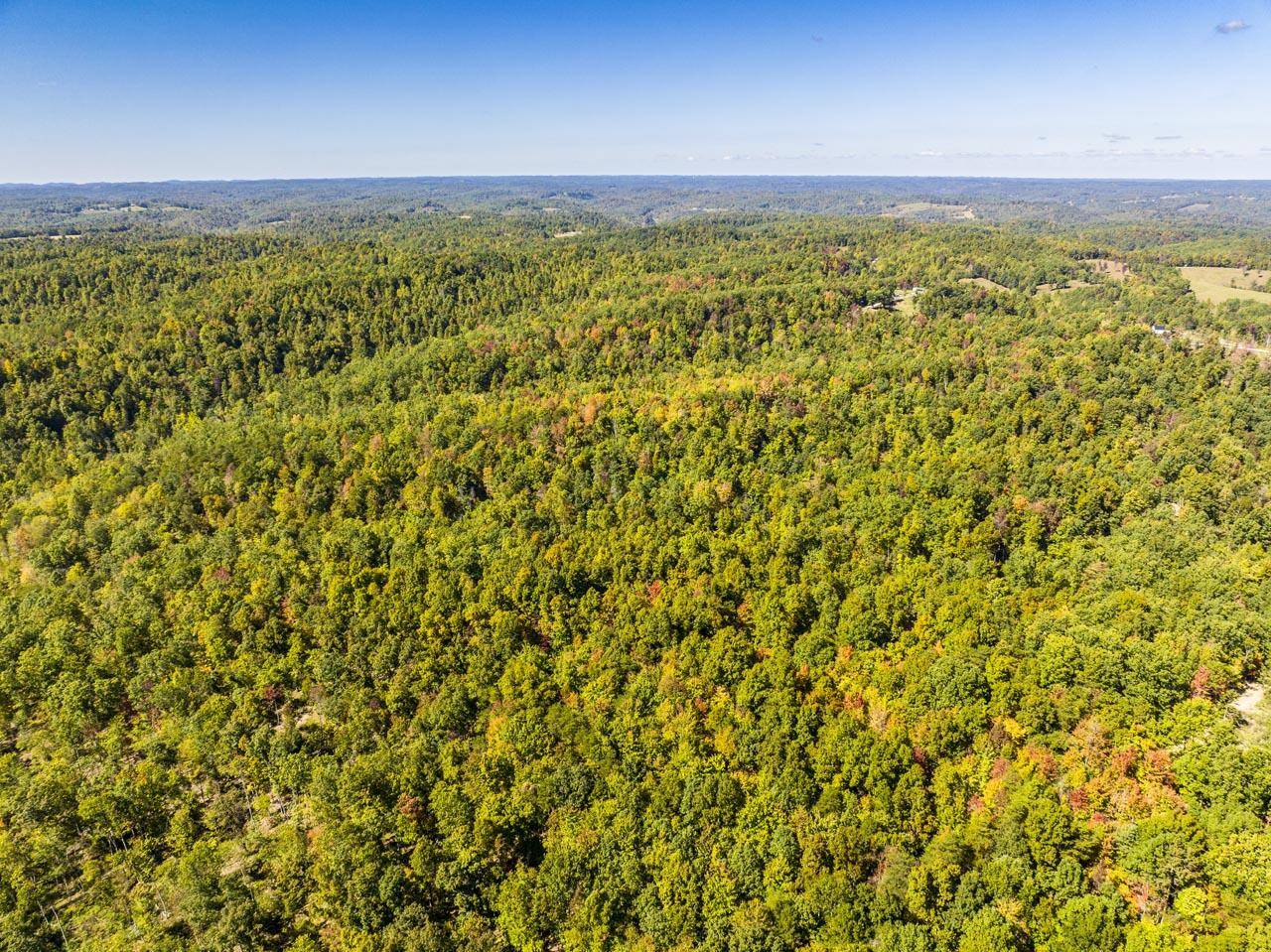 Olive Hill, KY 41164,141 Acres Hanshaw