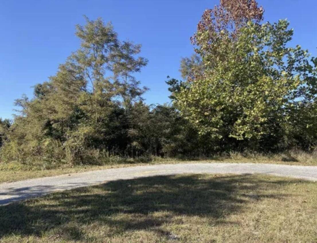 Waynesburg, KY 40489,Lot Hilltop Court