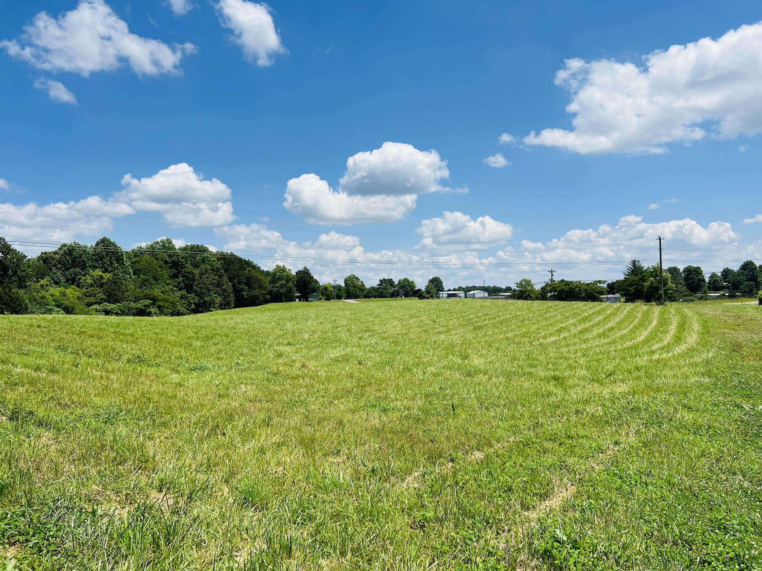 Jabez, KY 42544,6.2ac Beech Grove Road