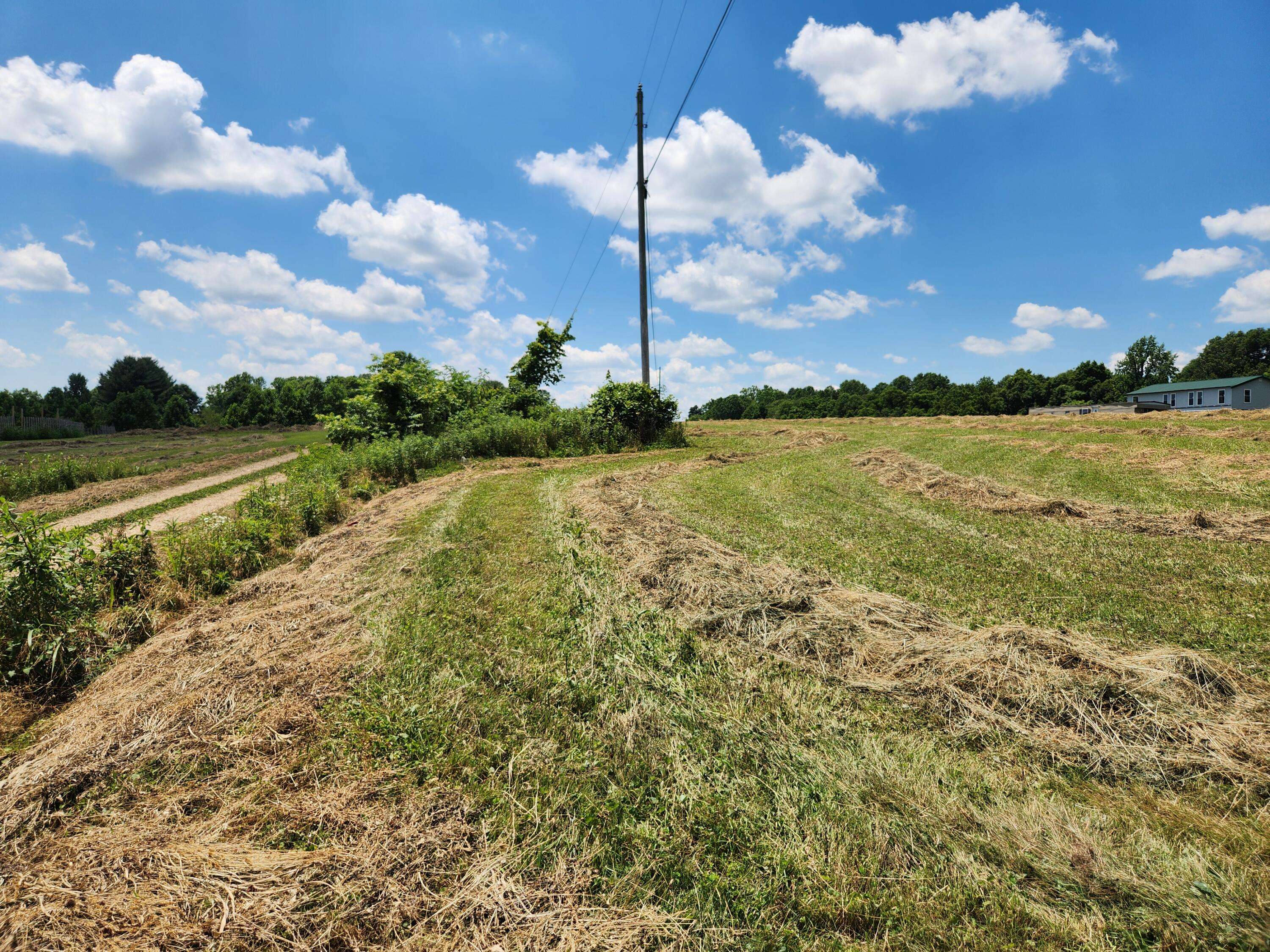 Liberty, KY 42539,LOT 5 Wildwood Estates