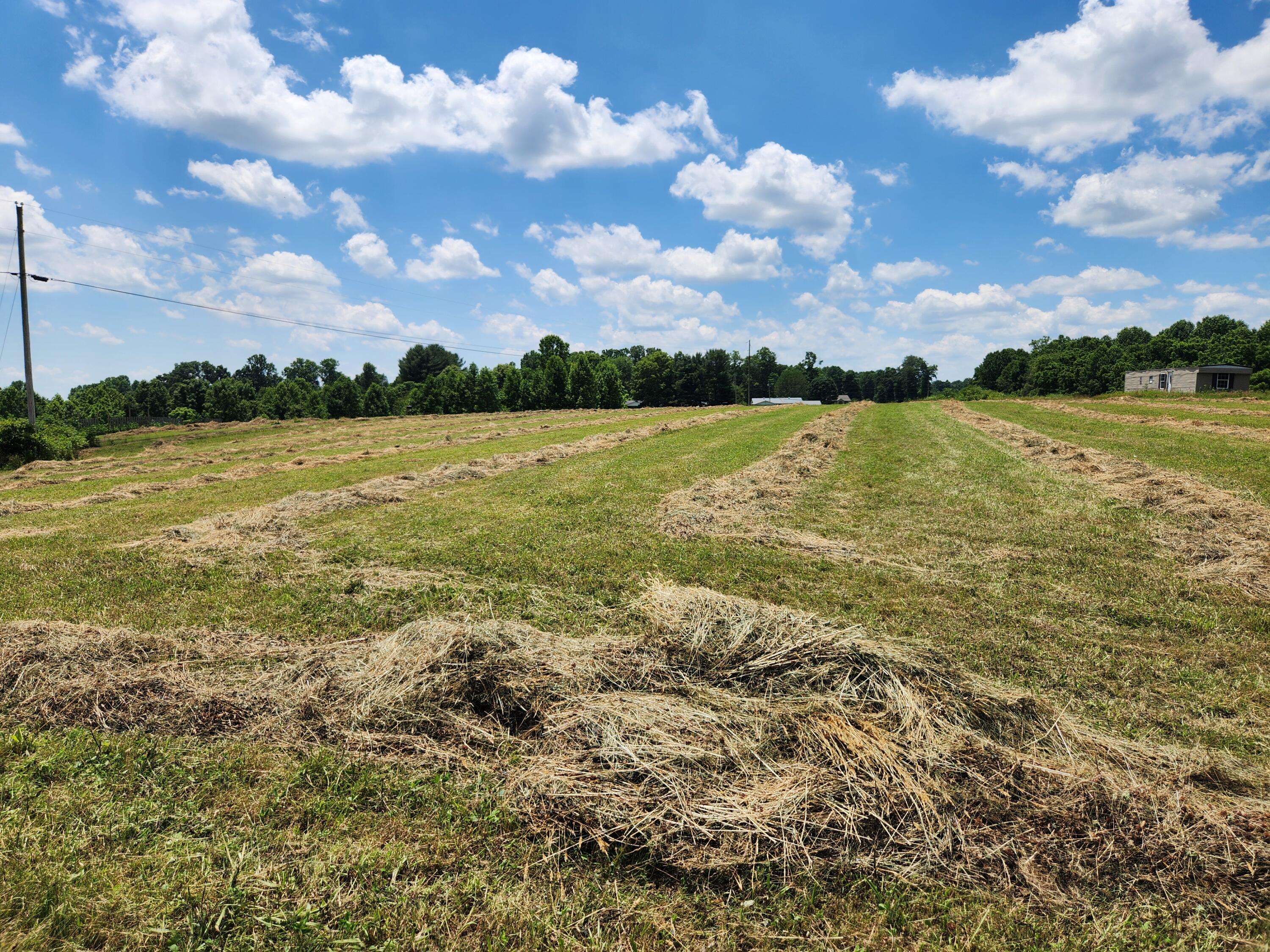 Liberty, KY 42539,LOT 5 Wildwood Estates