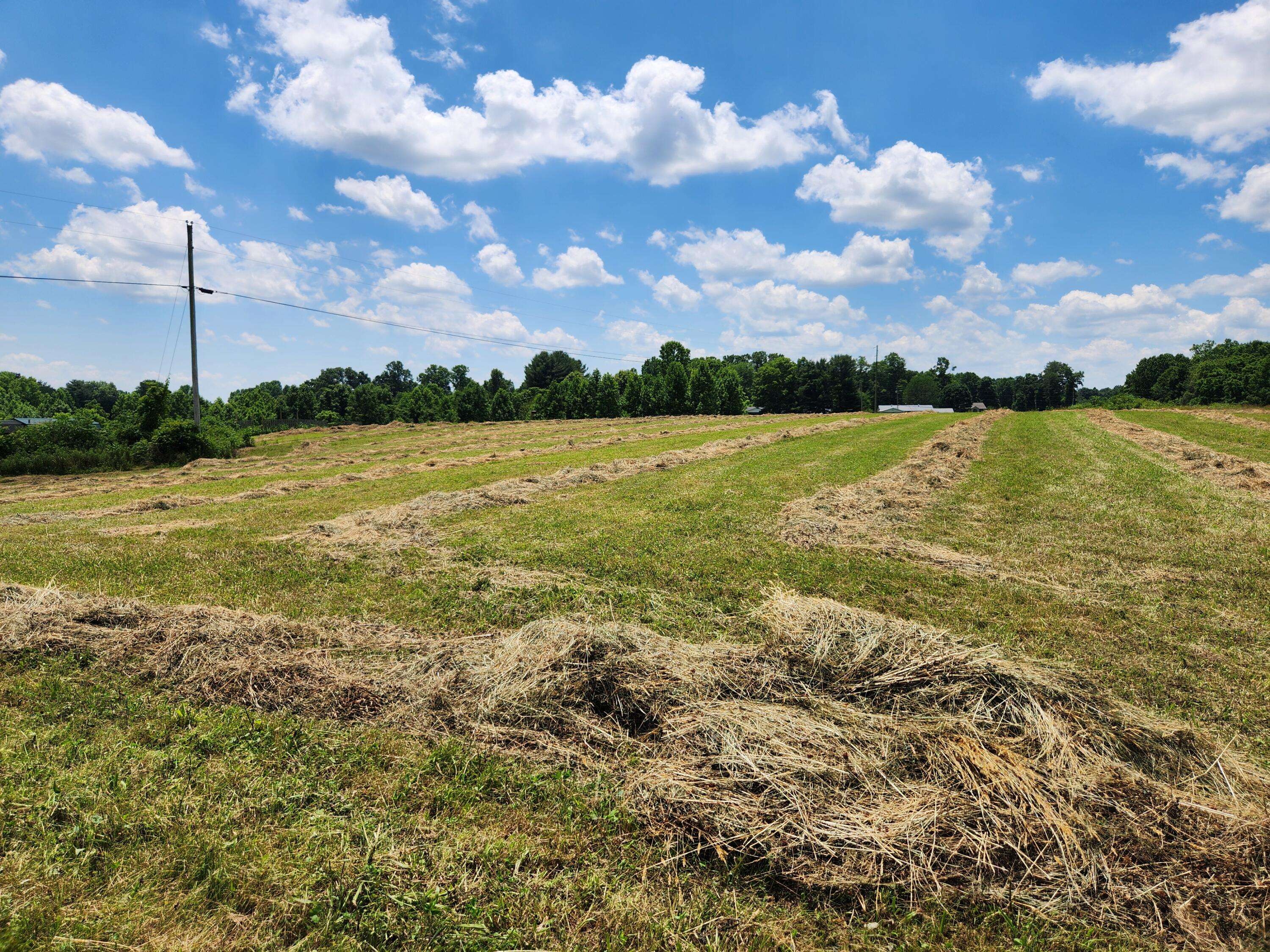 Liberty, KY 42539,LOT 5 Wildwood Estates