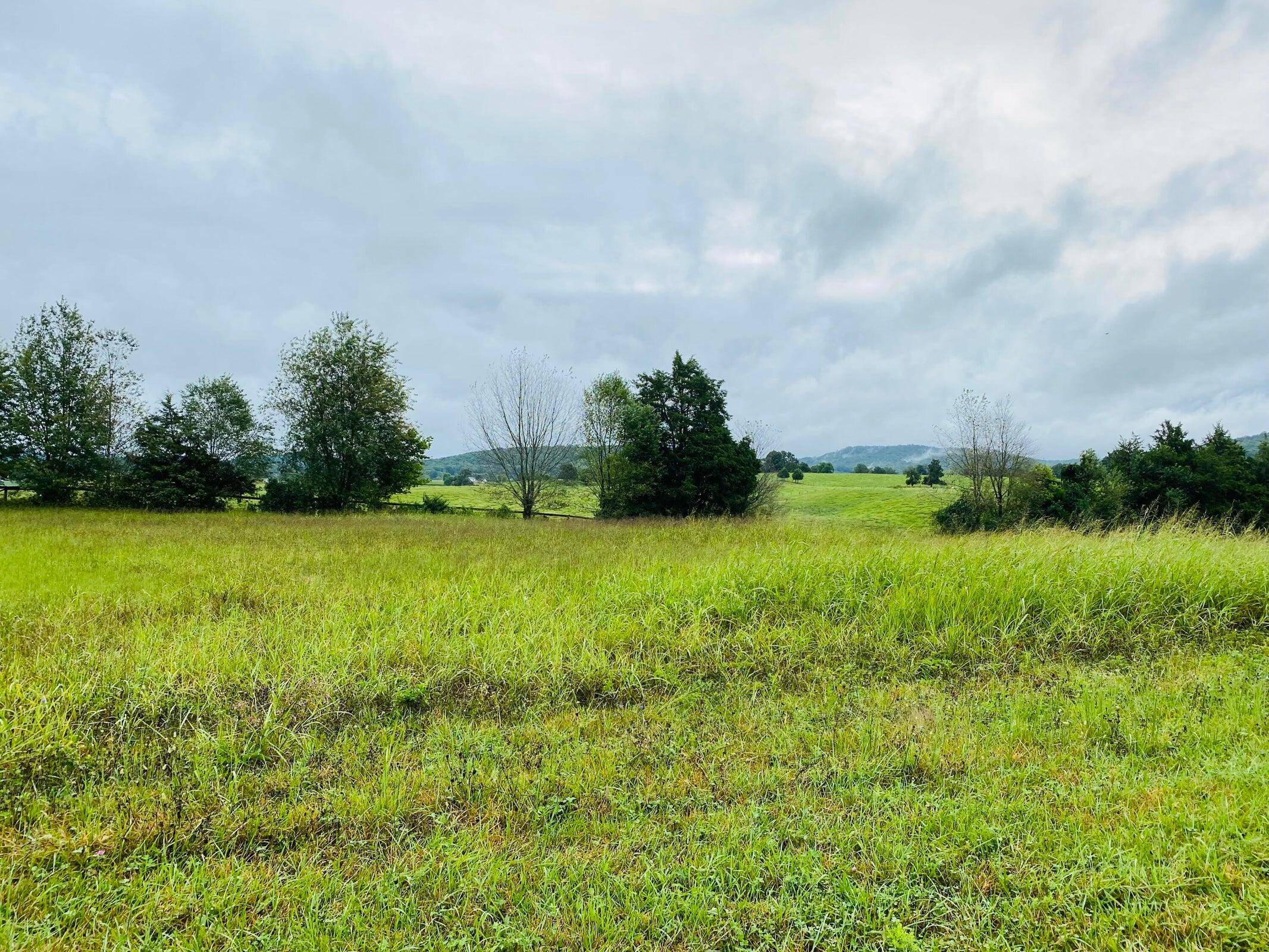 Monticello, KY 42633,Phase 2, 14 Lighthouse Estates