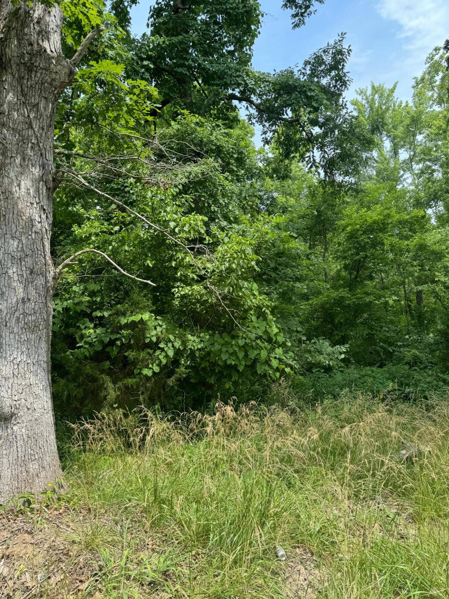 Irvine, KY 40336,460 Lafayette Circle