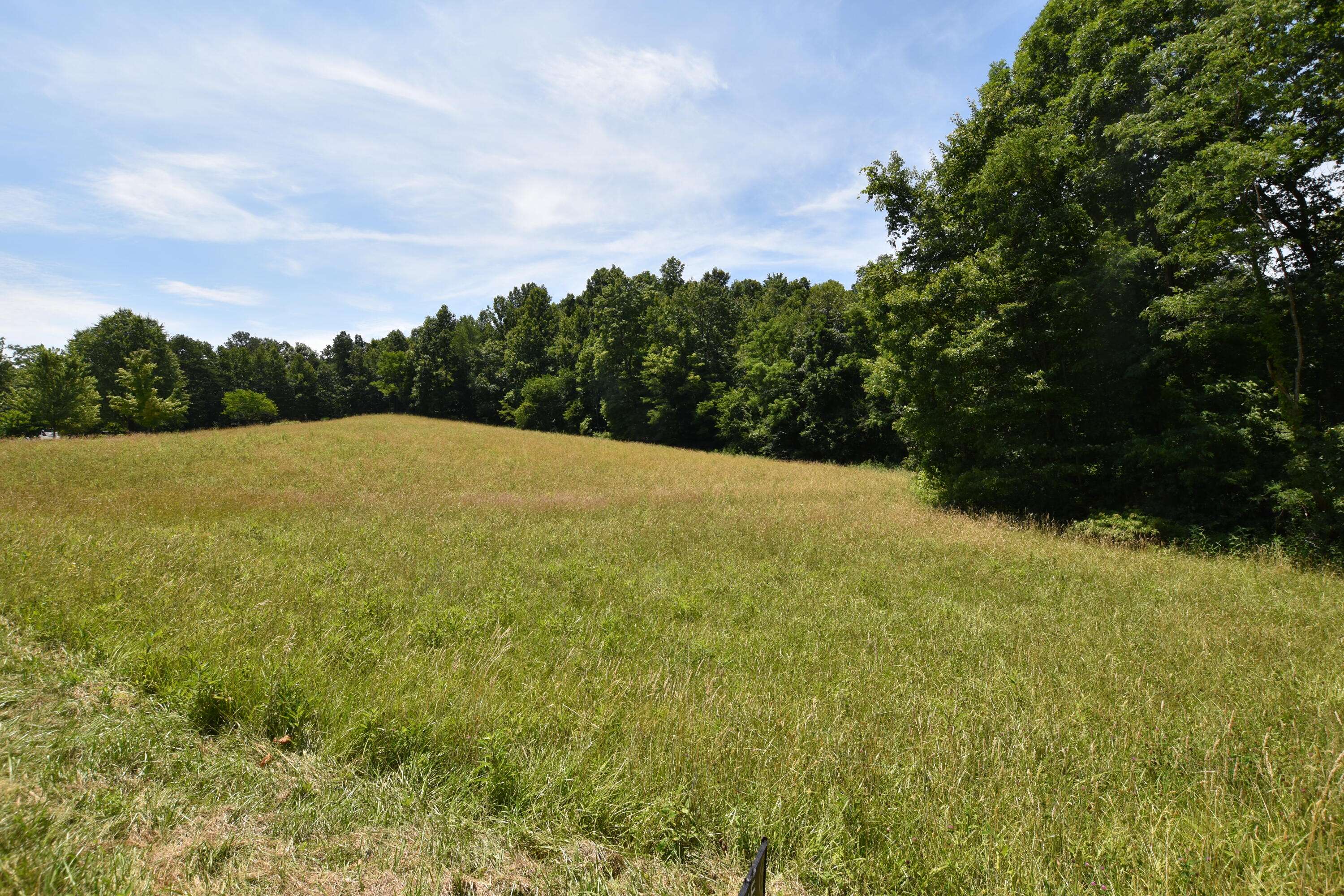 Wallingford, KY 41093,00 Hester Ridge