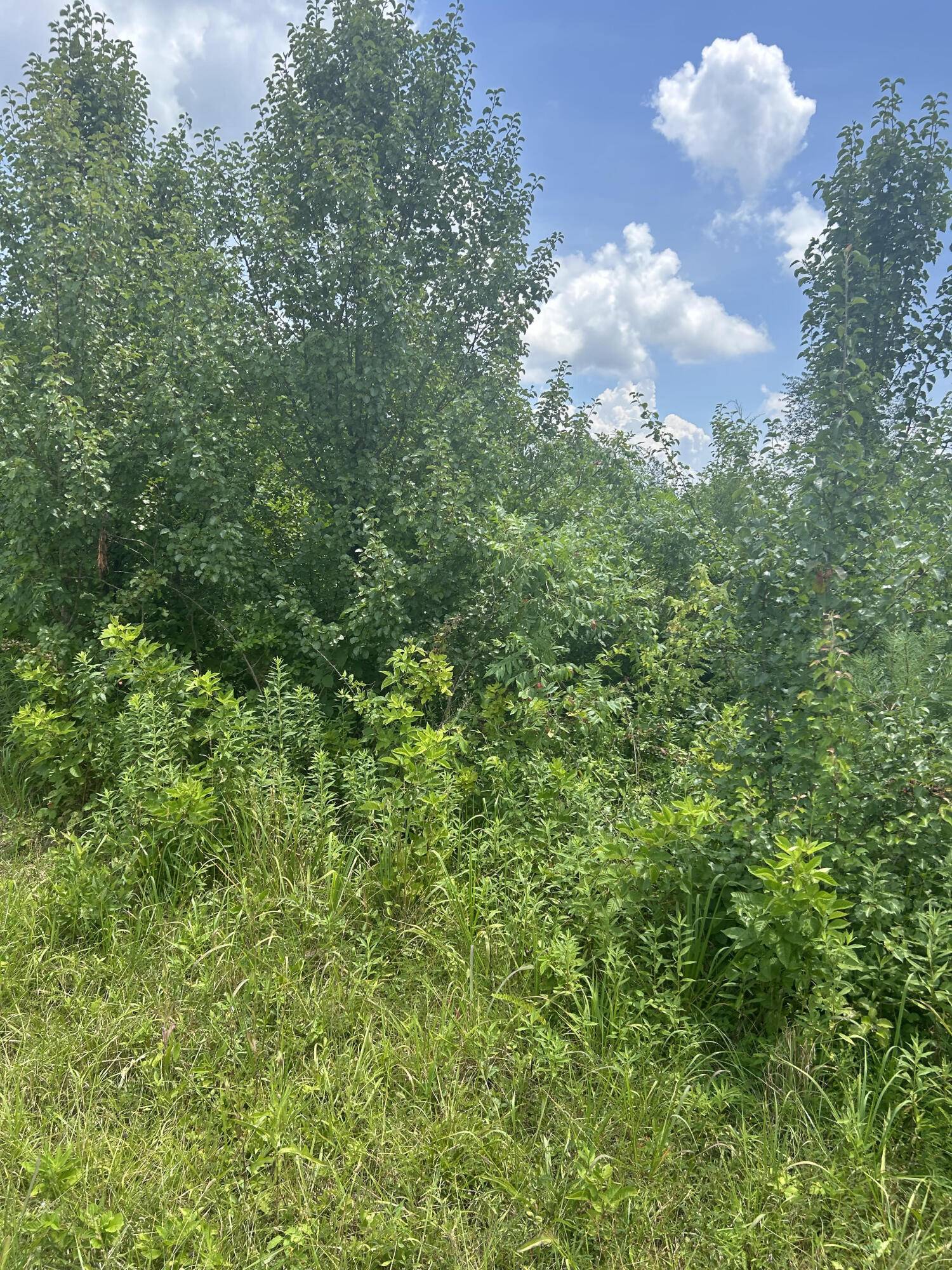 Nancy, KY 42544,Lot East Meadow Drive