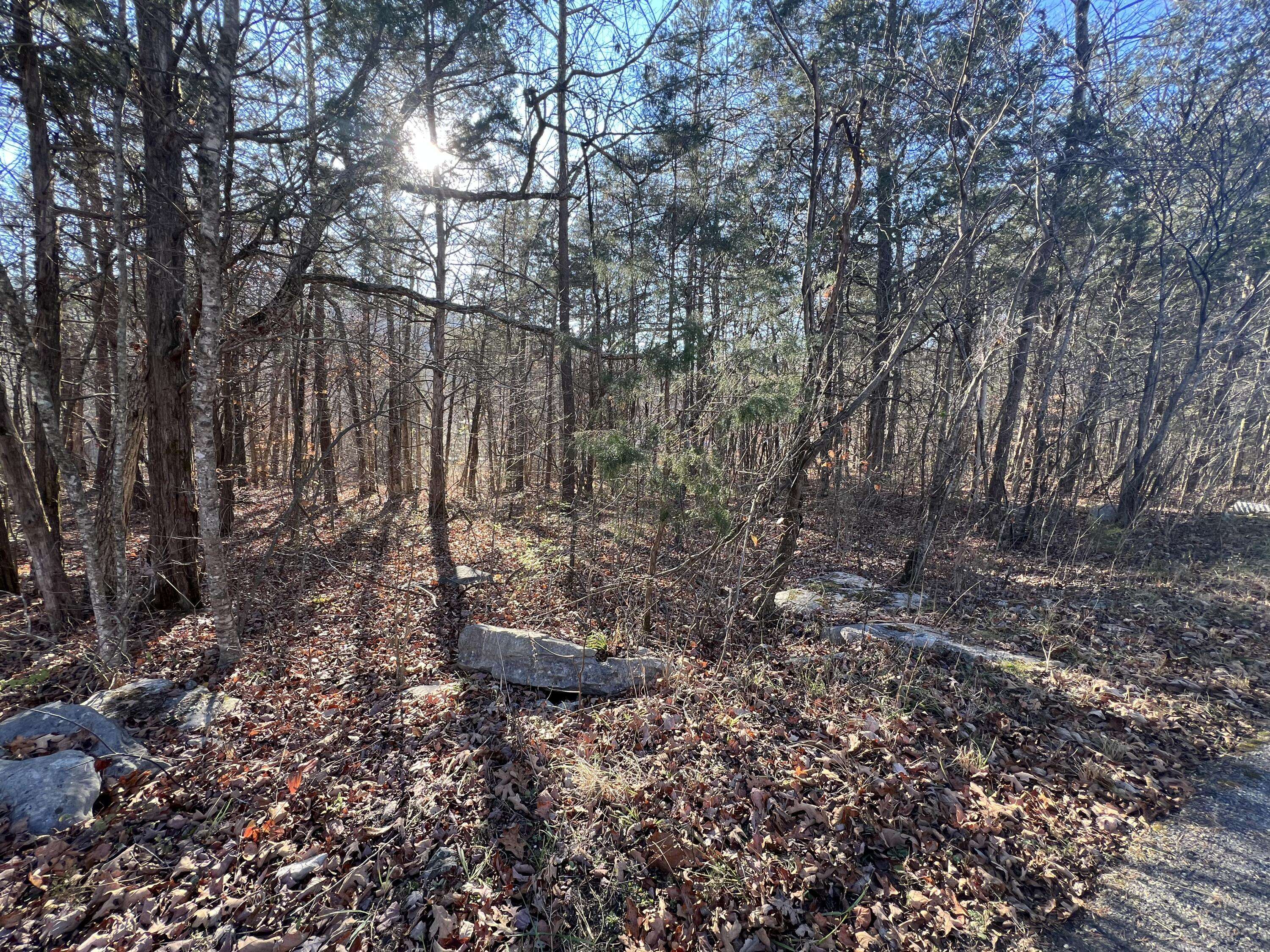 Somerset, KY 42501,9-10 Simcoe Drive