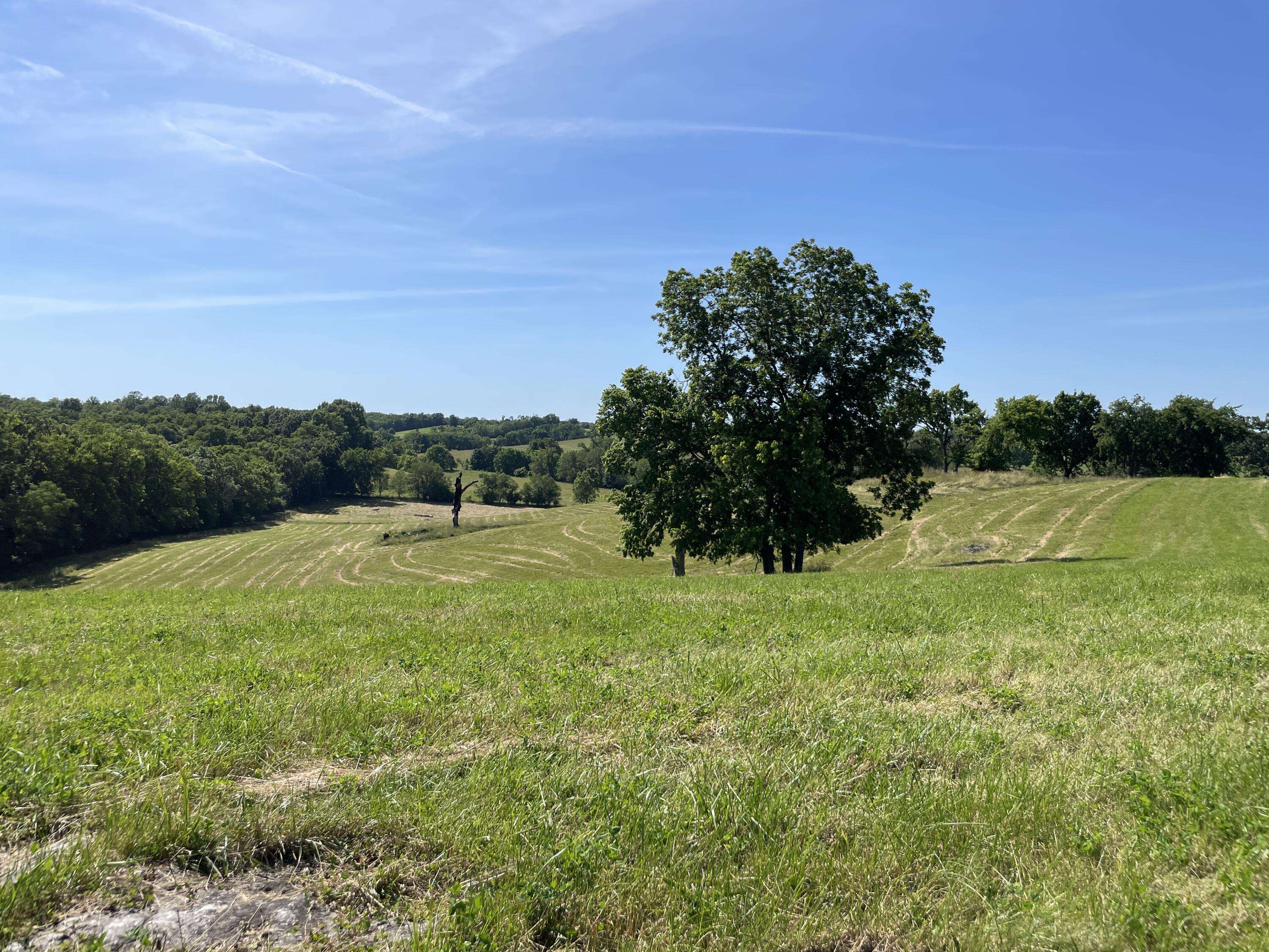 Cynthiana, KY 41031,662 Creekside Farms Drive