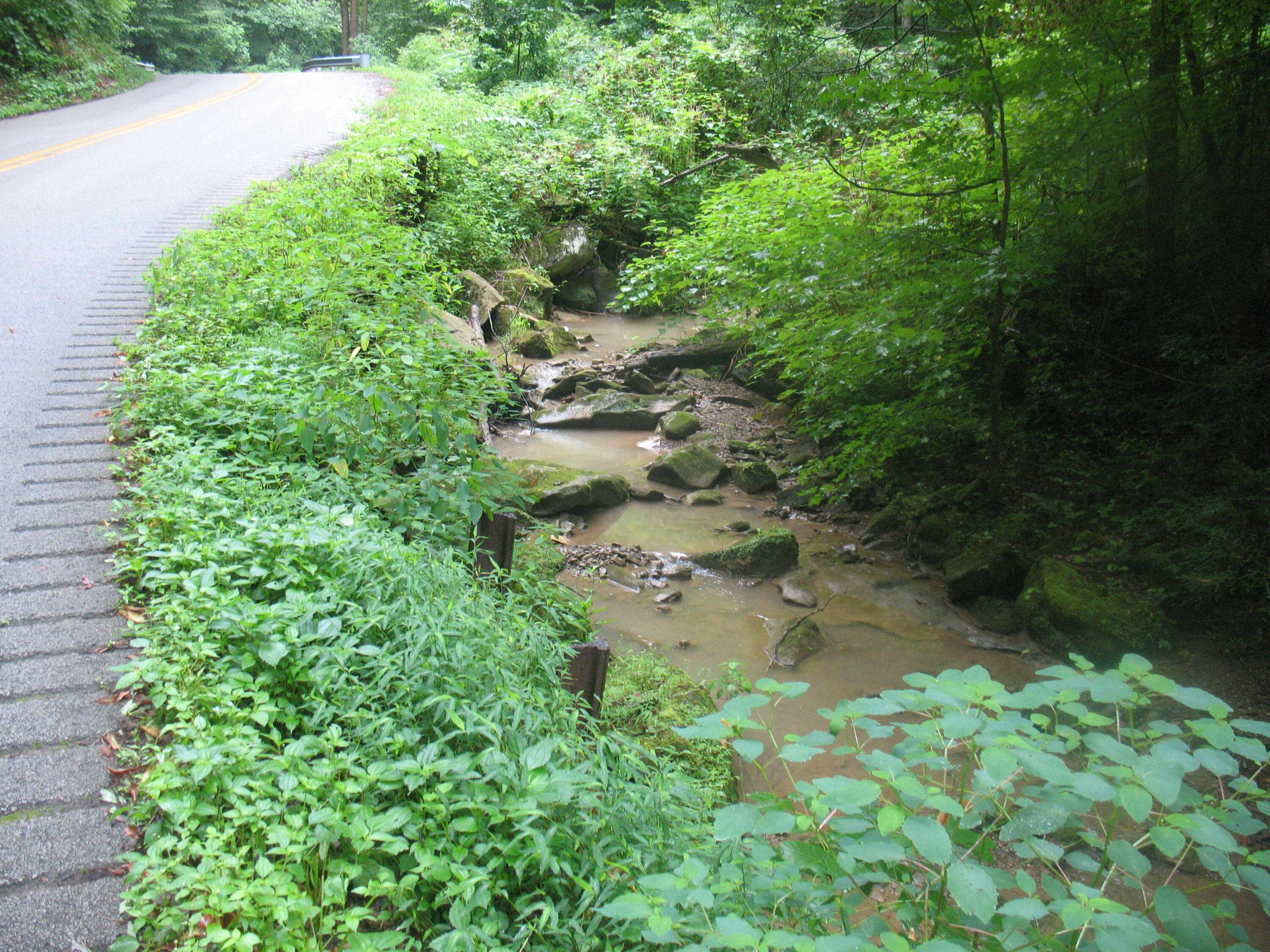 Goose Rock, KY 40944,0 Hwy 2000 Martins Creek