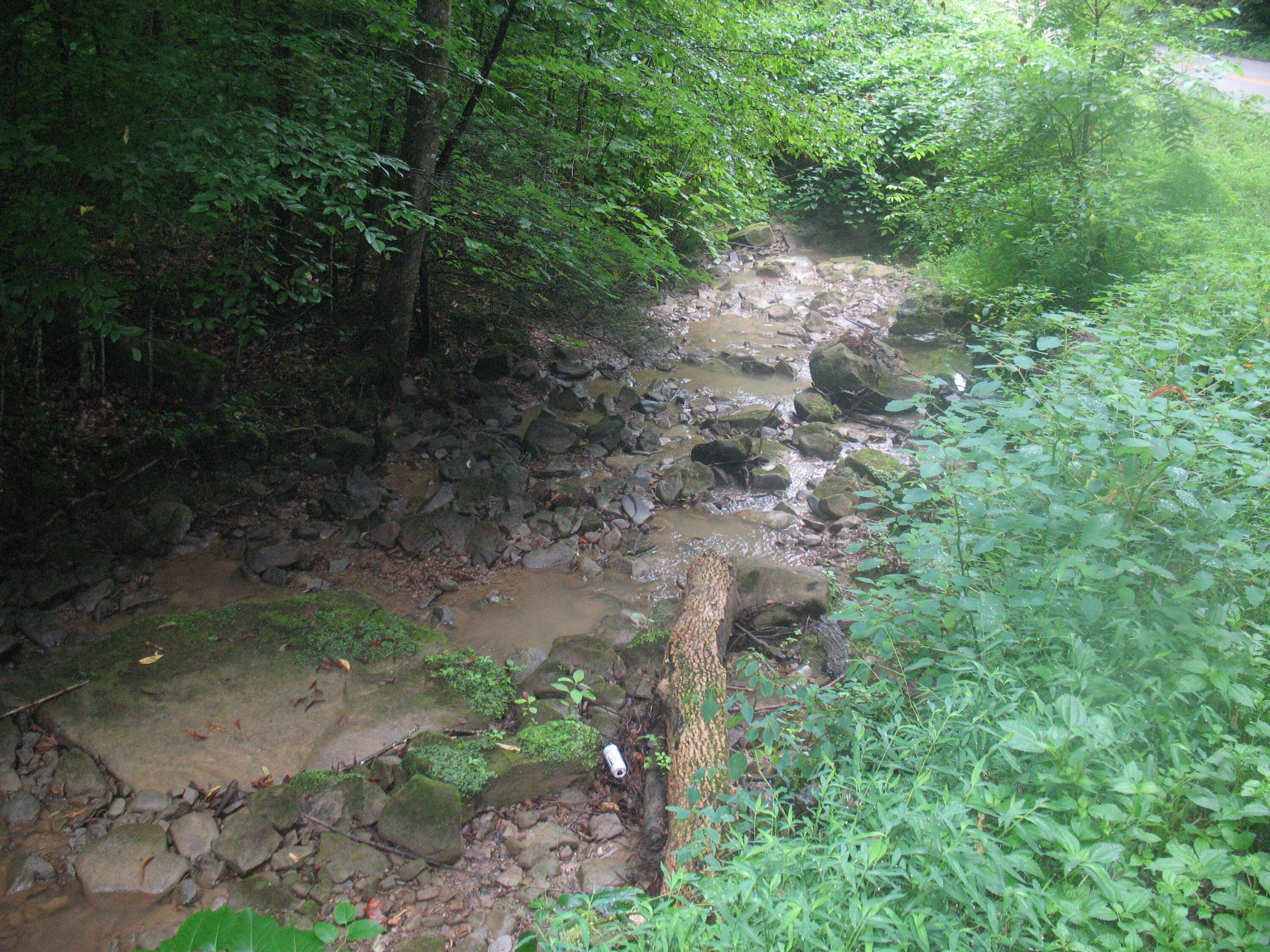 Goose Rock, KY 40944,0 Hwy 2000 Martins Creek